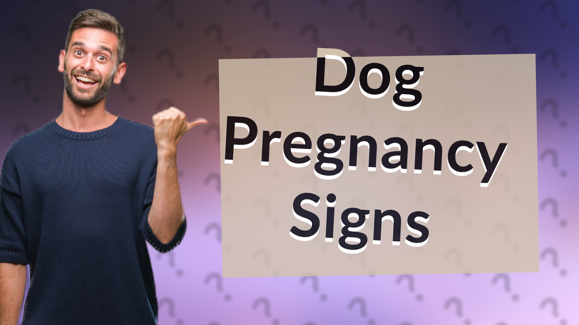 Dog Pregnancy Signs