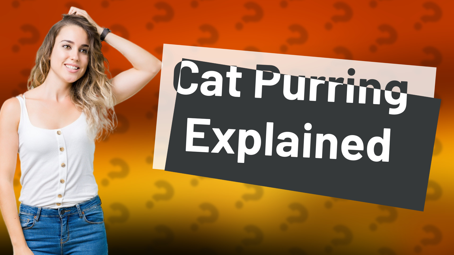 Cat Purring Explained