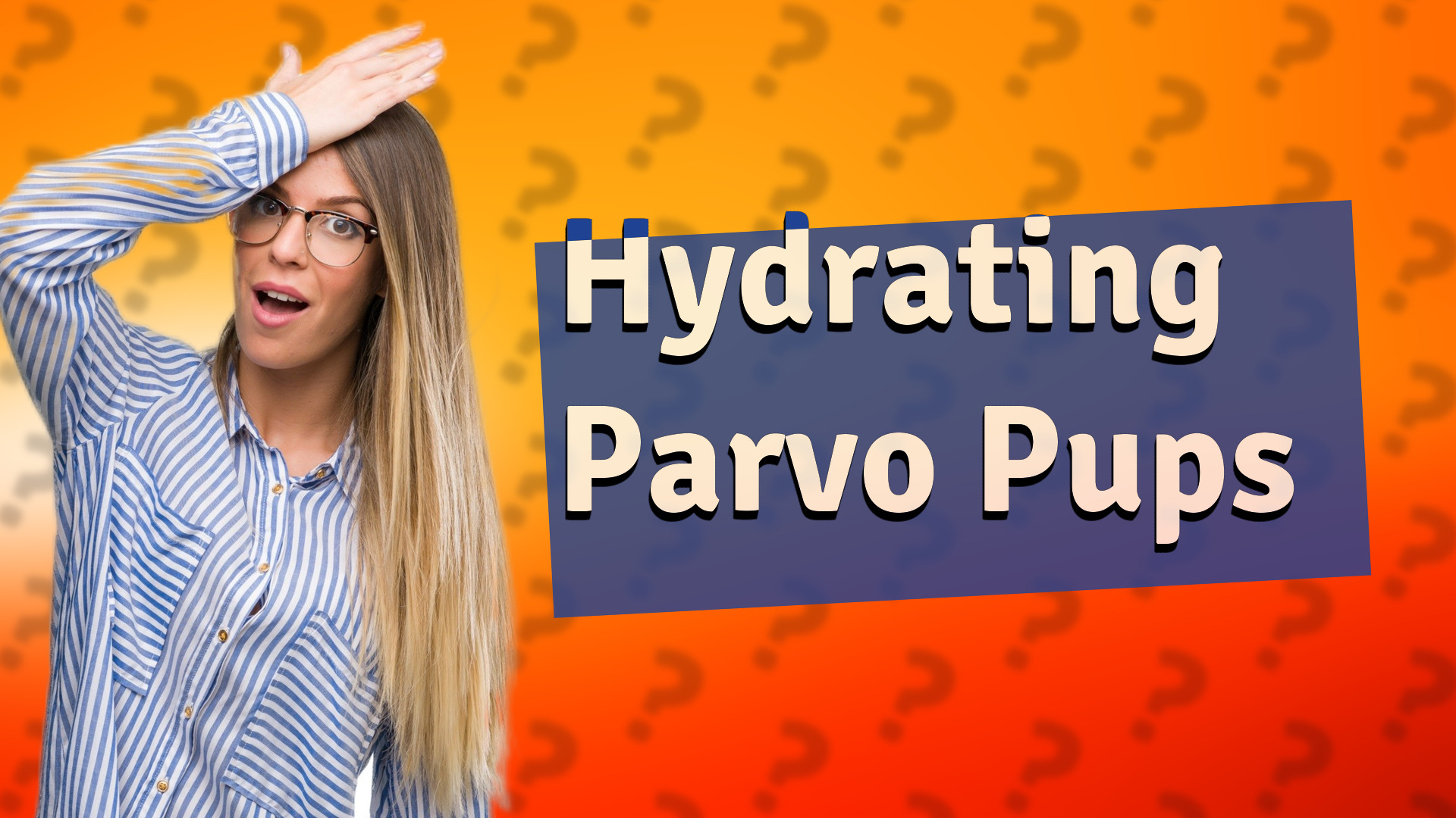 Hydrating Parvo Pups