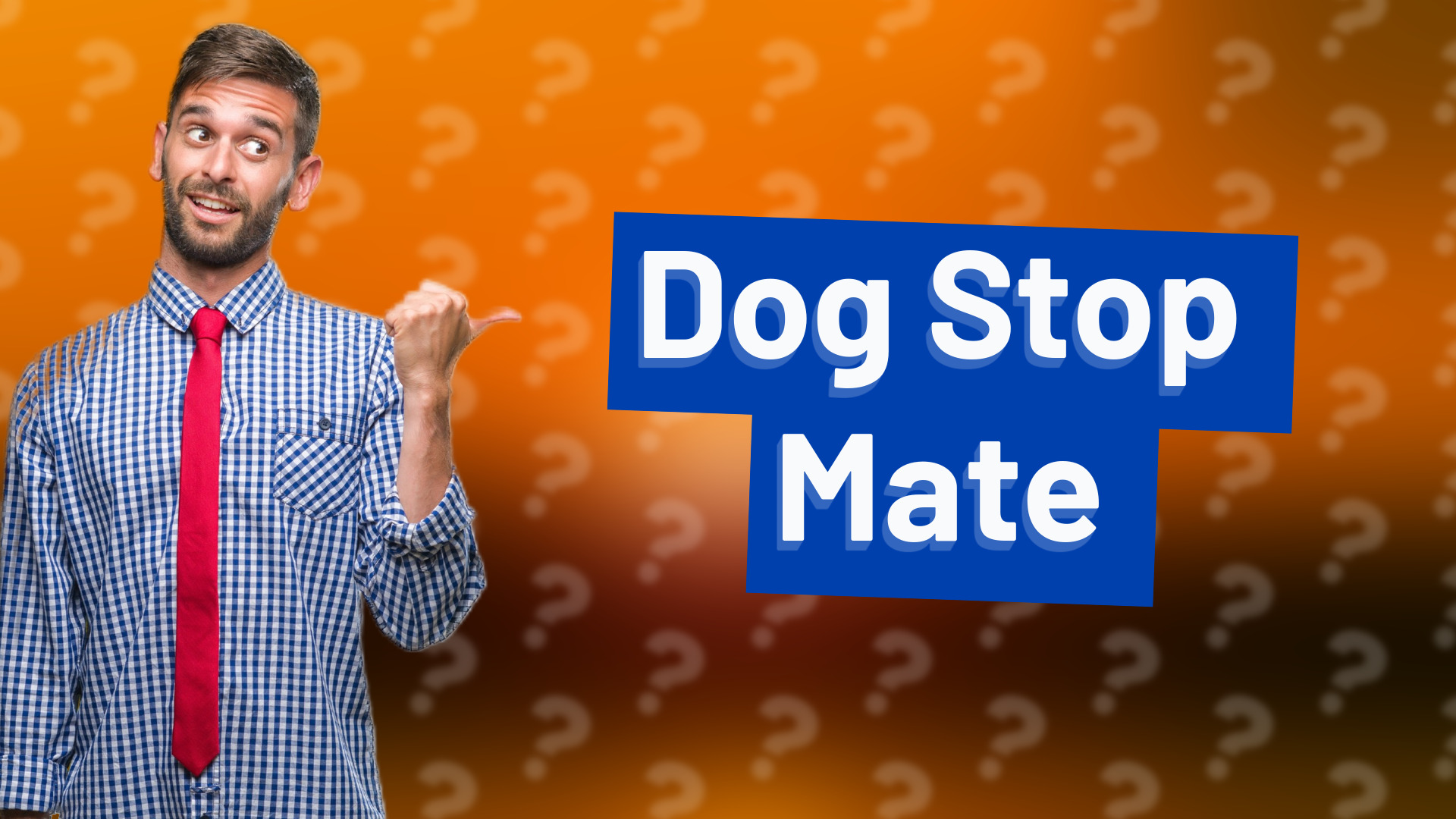 Dog Stop Mate
