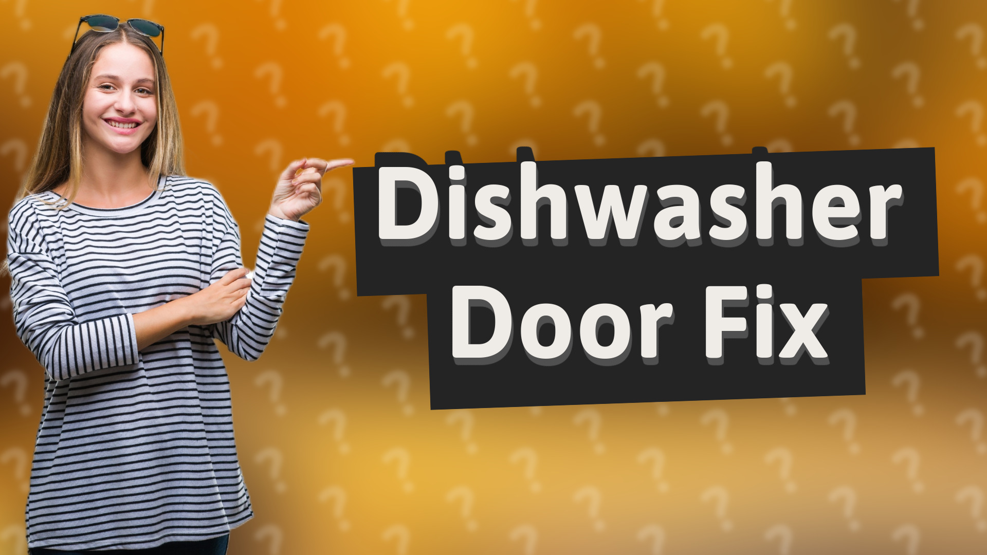 Dishwasher Door Fix