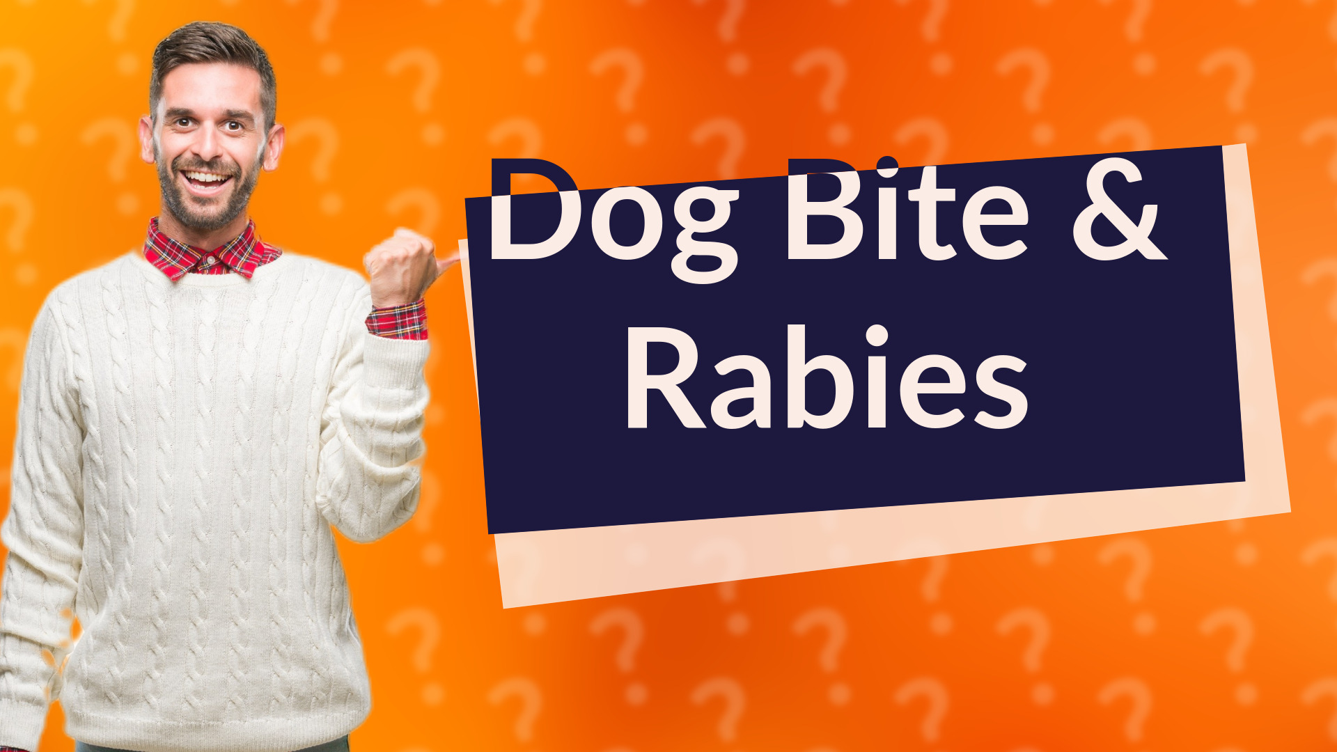 Dog Bite & Rabies