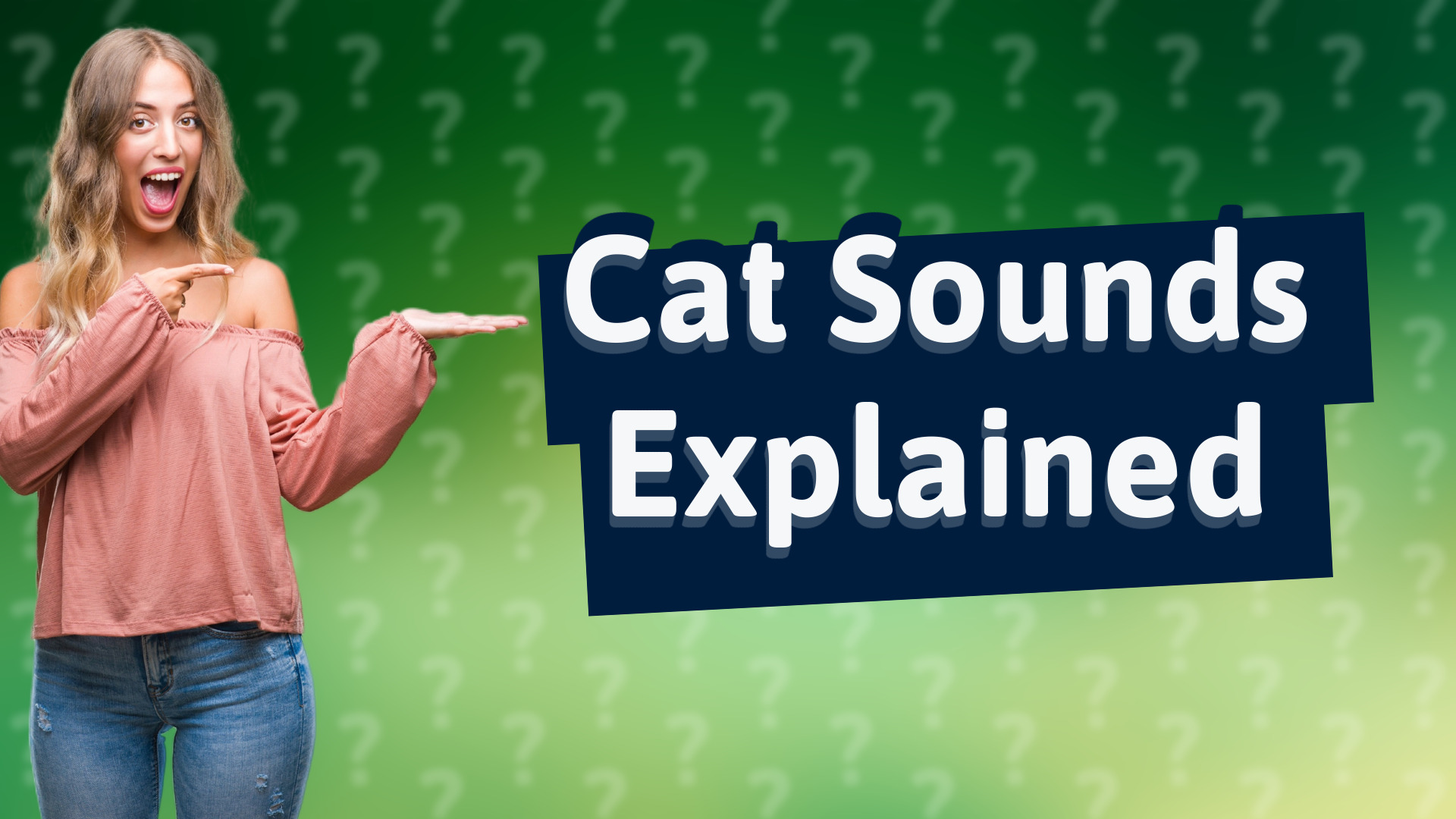 Cat Sounds Explained