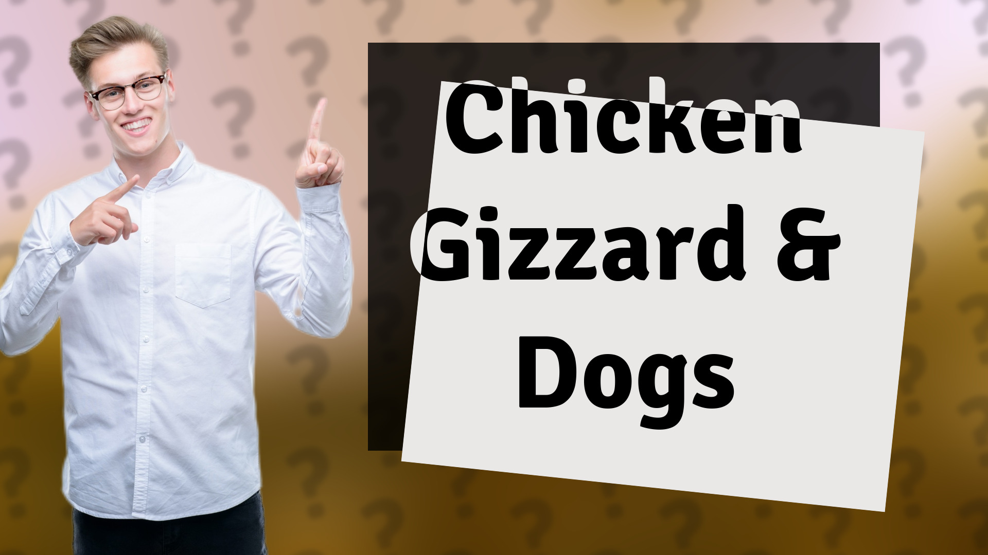 Chicken Gizzard & Dogs
