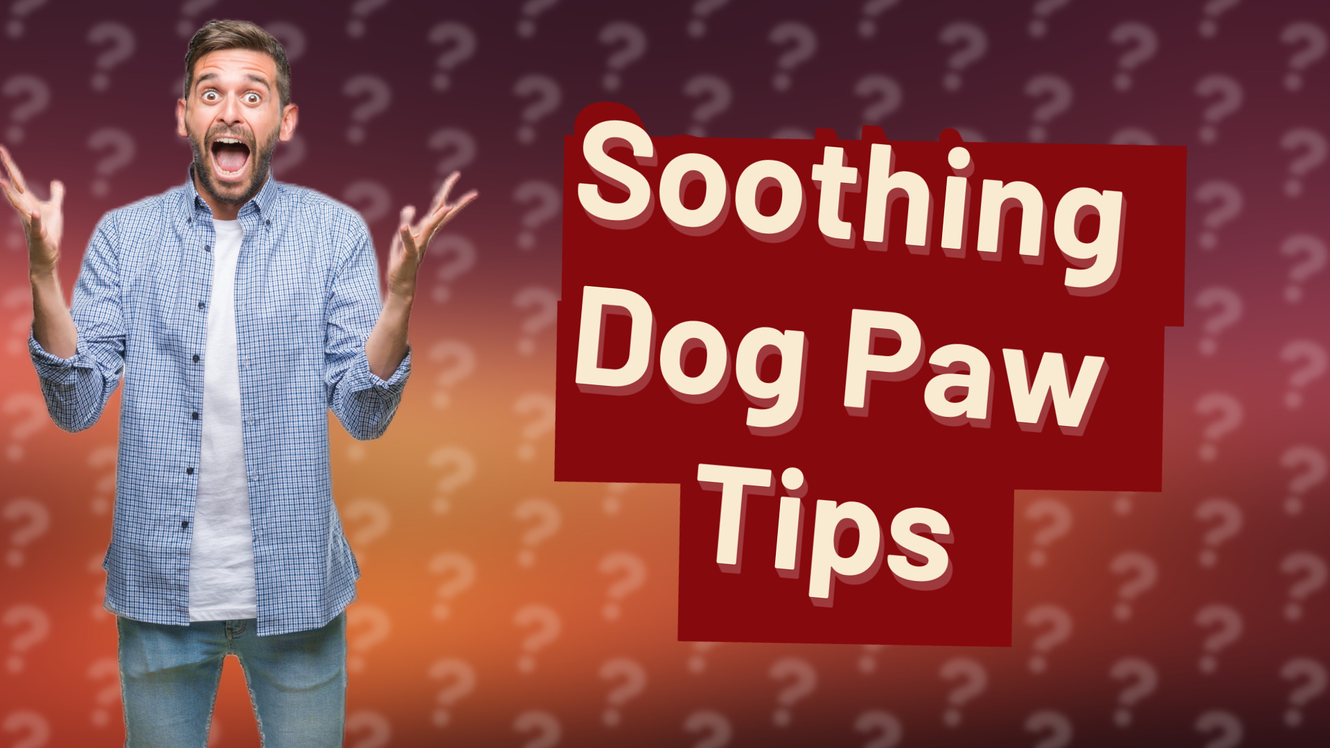 Soothing Dog Paw Tips