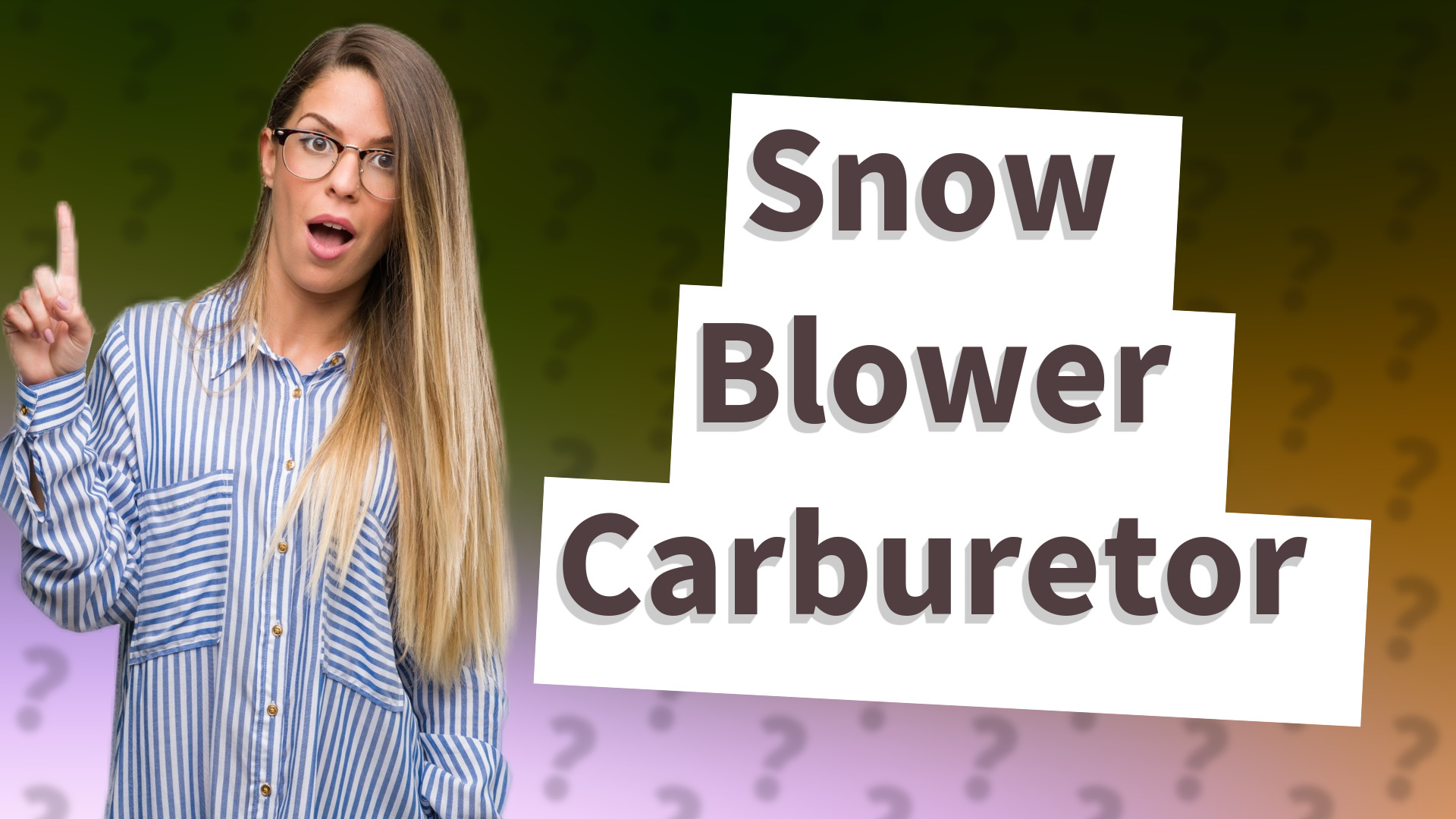 Snow Blower Carburetor