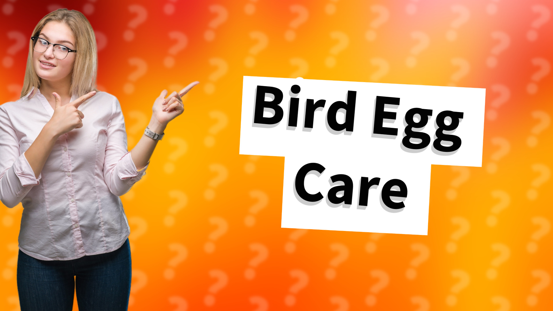 Bird Egg Care