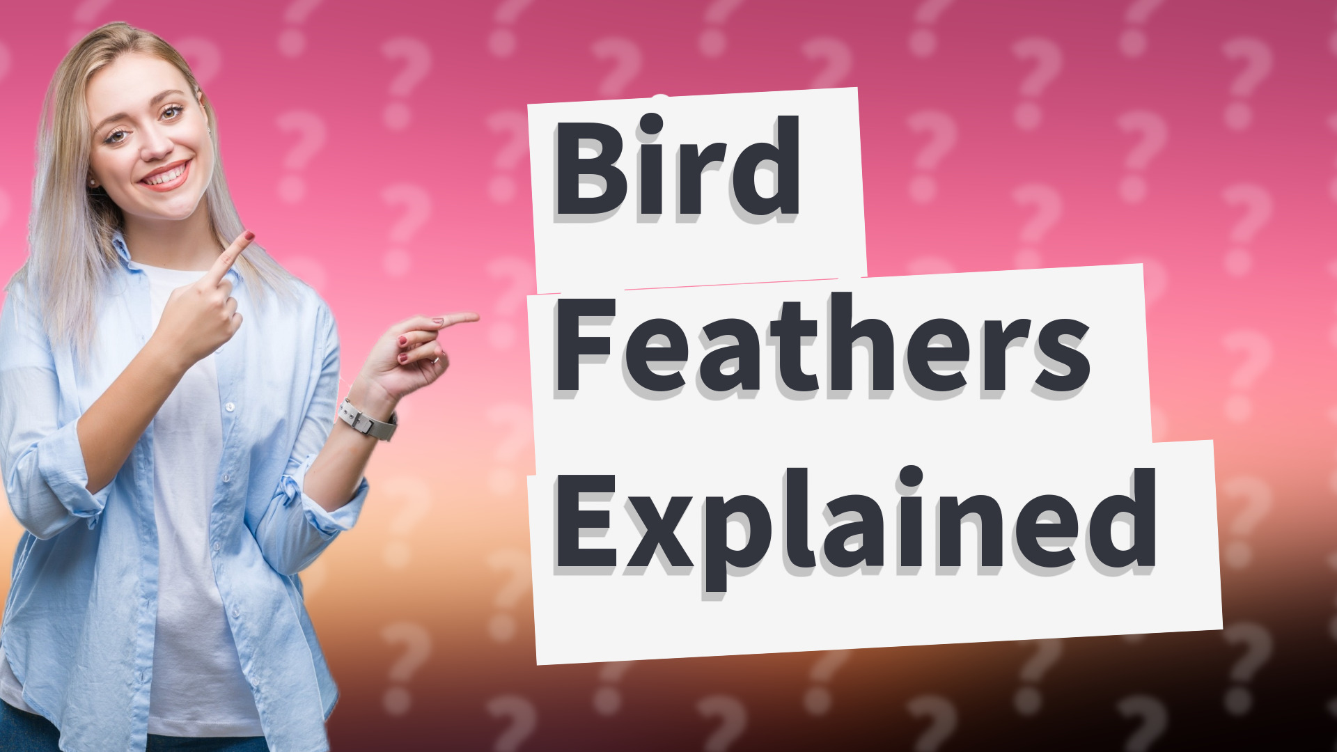 Bird Feathers Explained