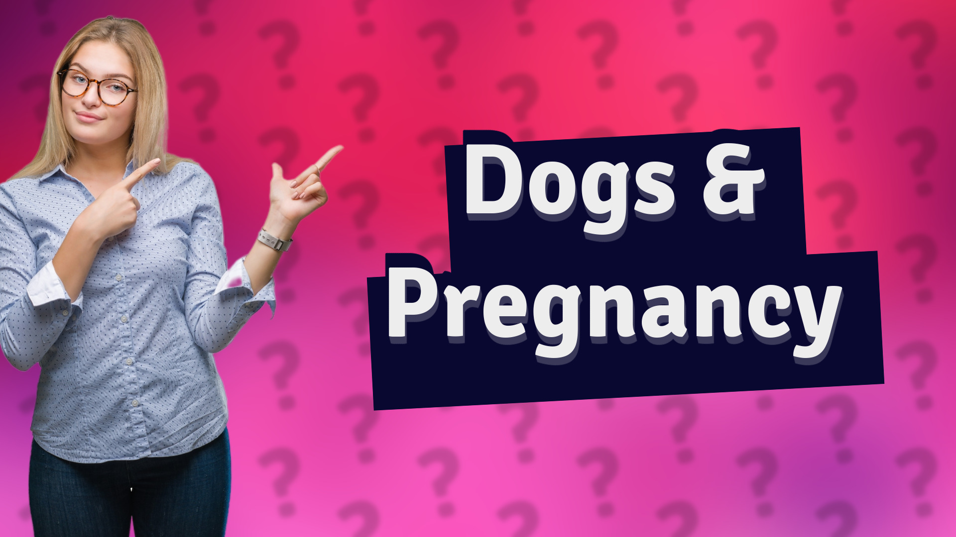 Dogs & Pregnancy