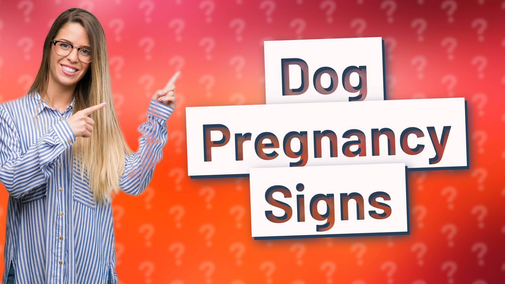 Dog Pregnancy Signs