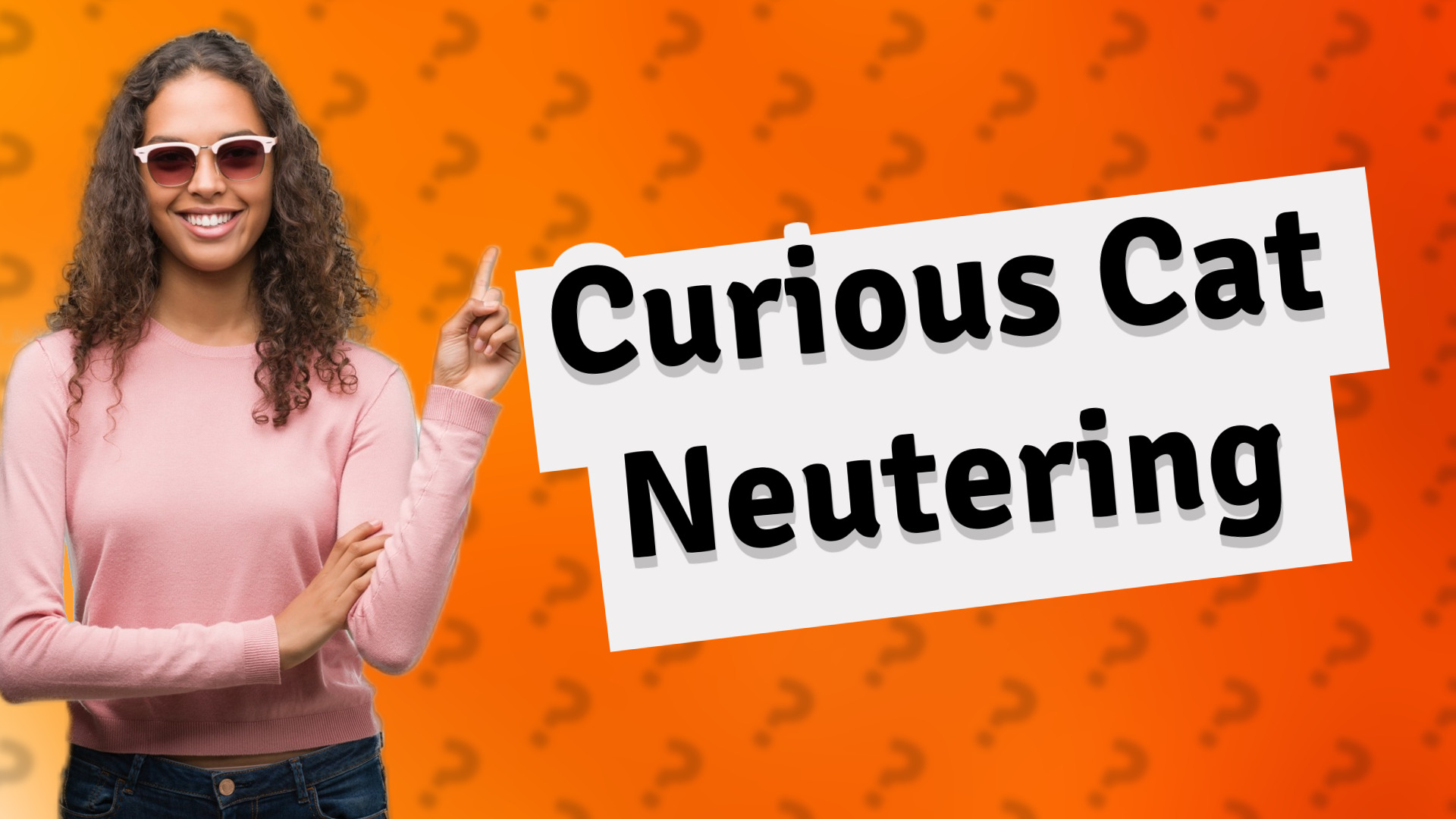 Curious Cat Neutering