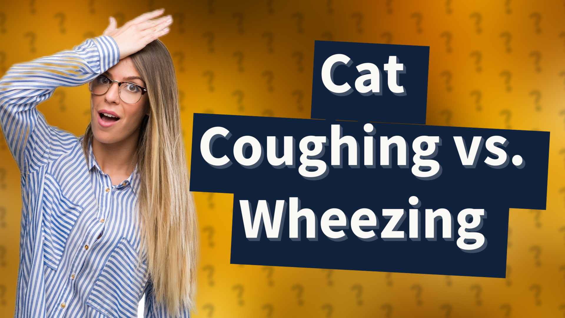 Cat Coughing vs. Wheezing