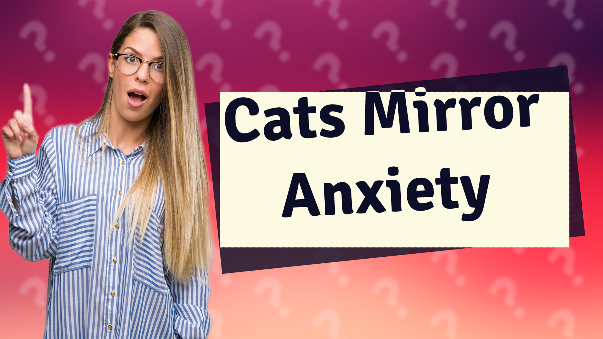 Cats Mirror Anxiety