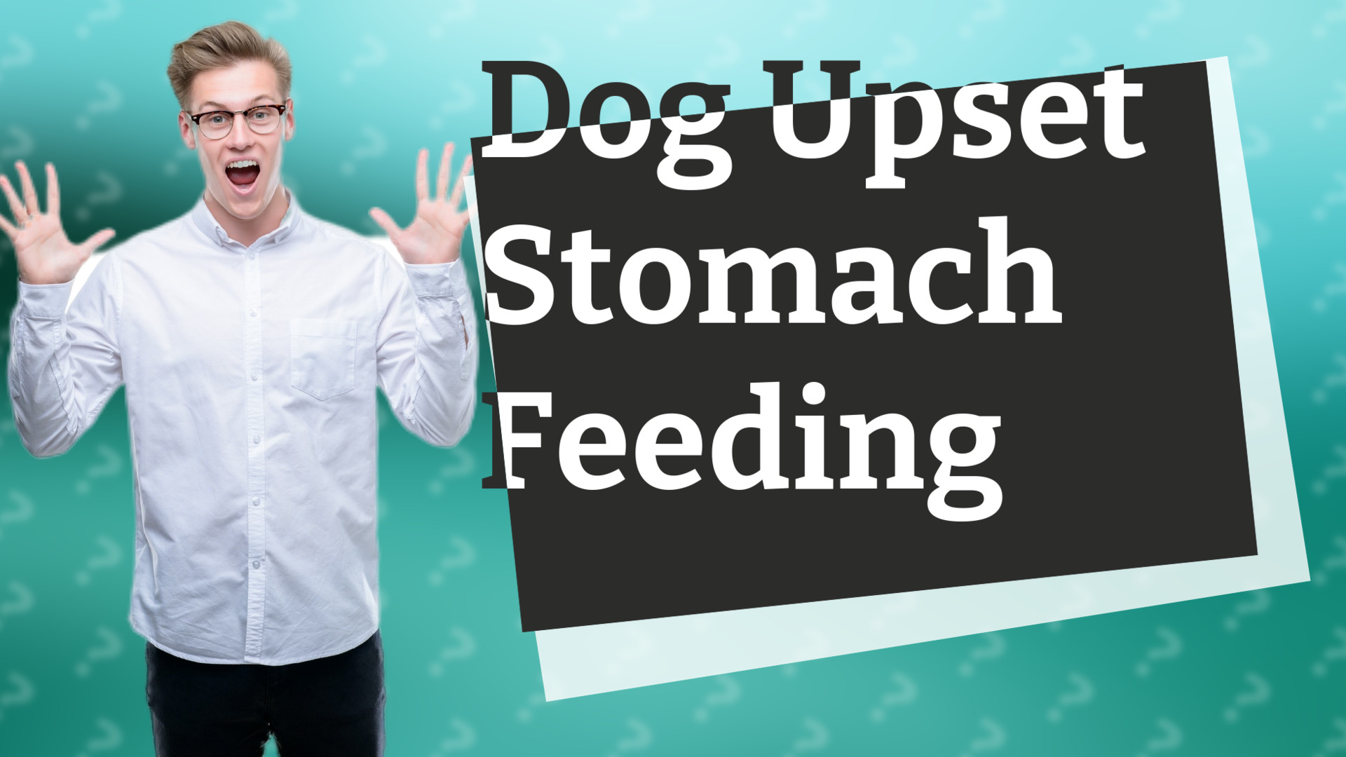Dog Upset Stomach Feeding