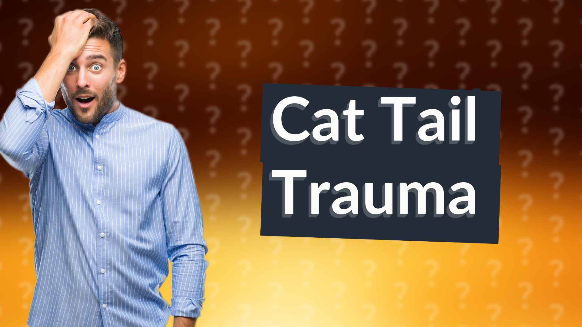 Cat Tail Trauma