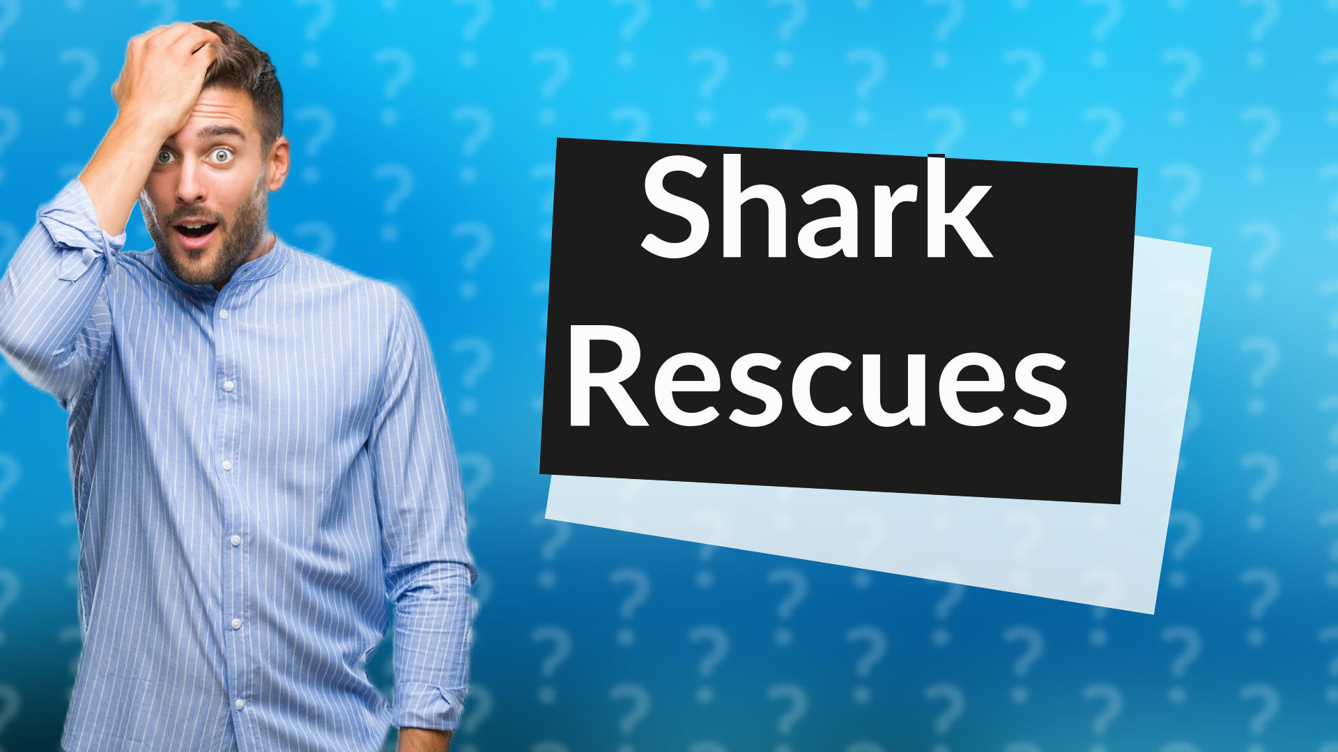 Shark Rescues