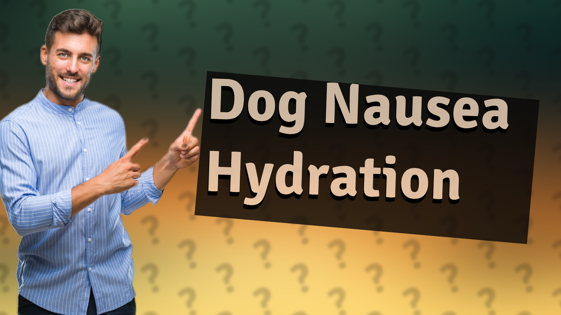 Dog Nausea Hydration