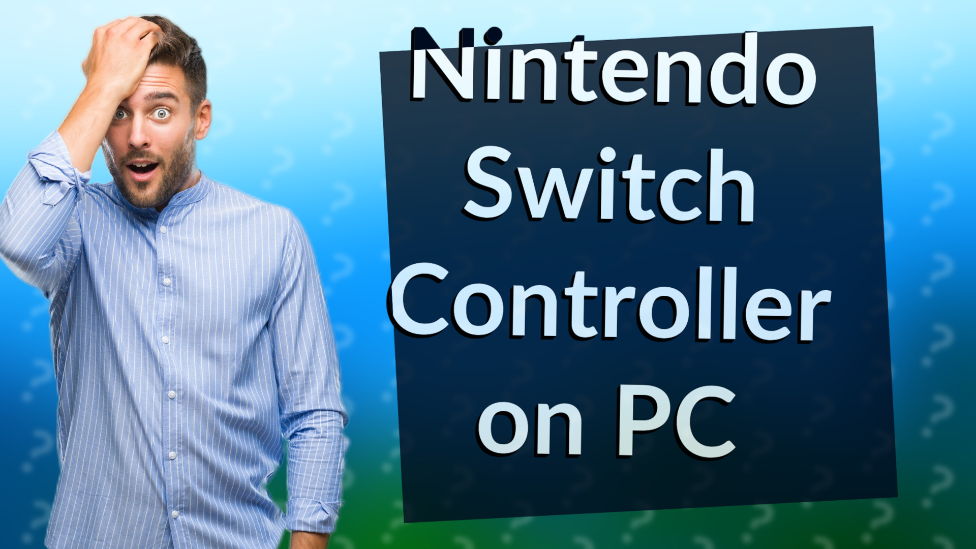Nintendo Switch Controller on PC
