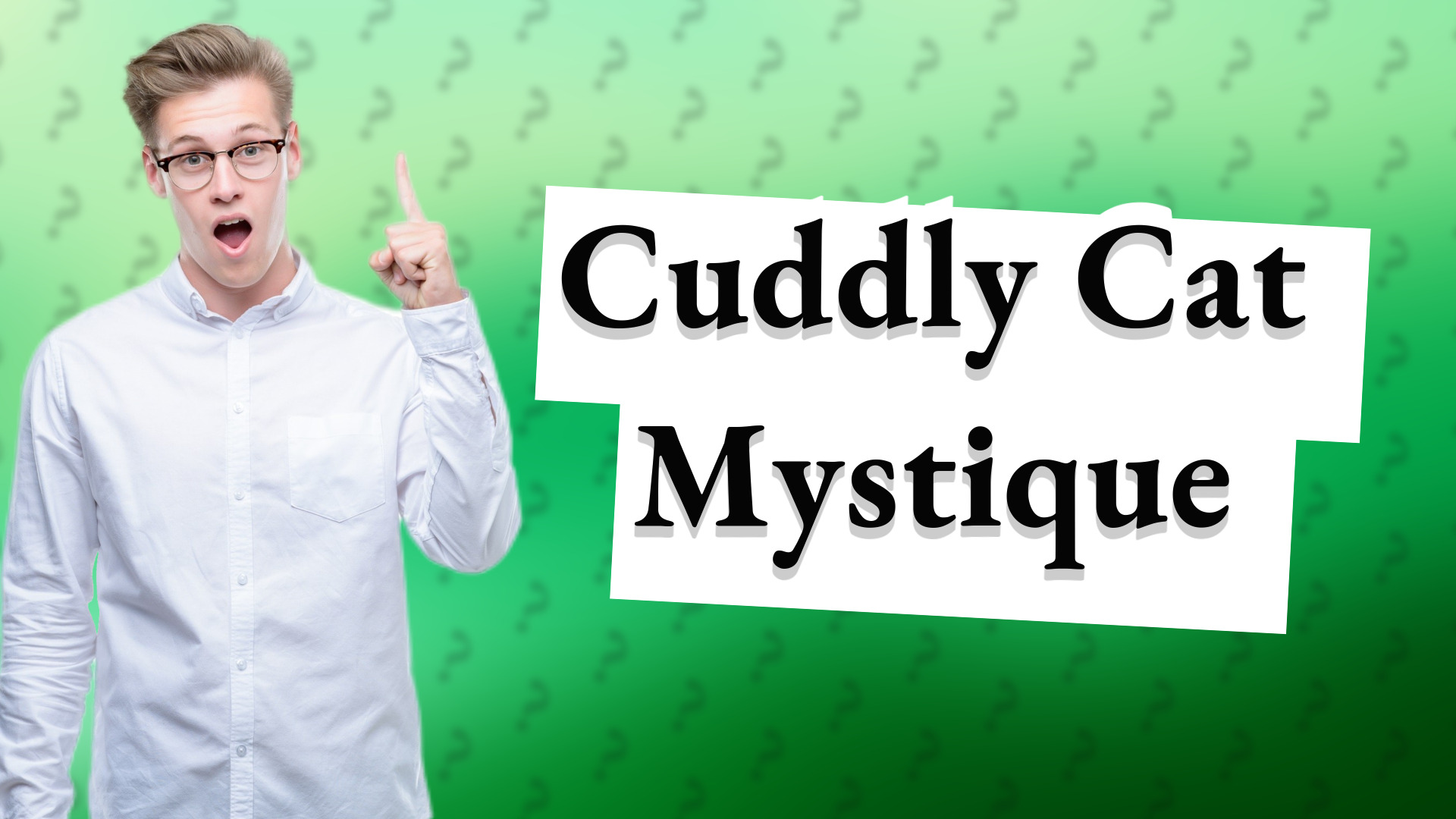 Cuddly Cat Mystique