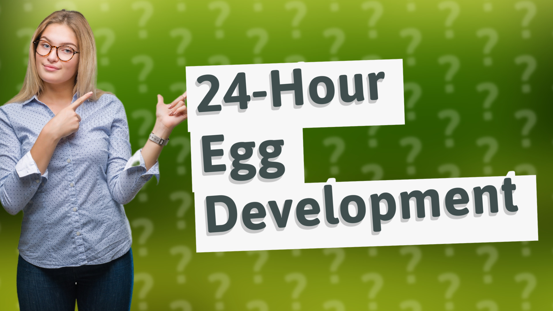 24-Hour Egg Development