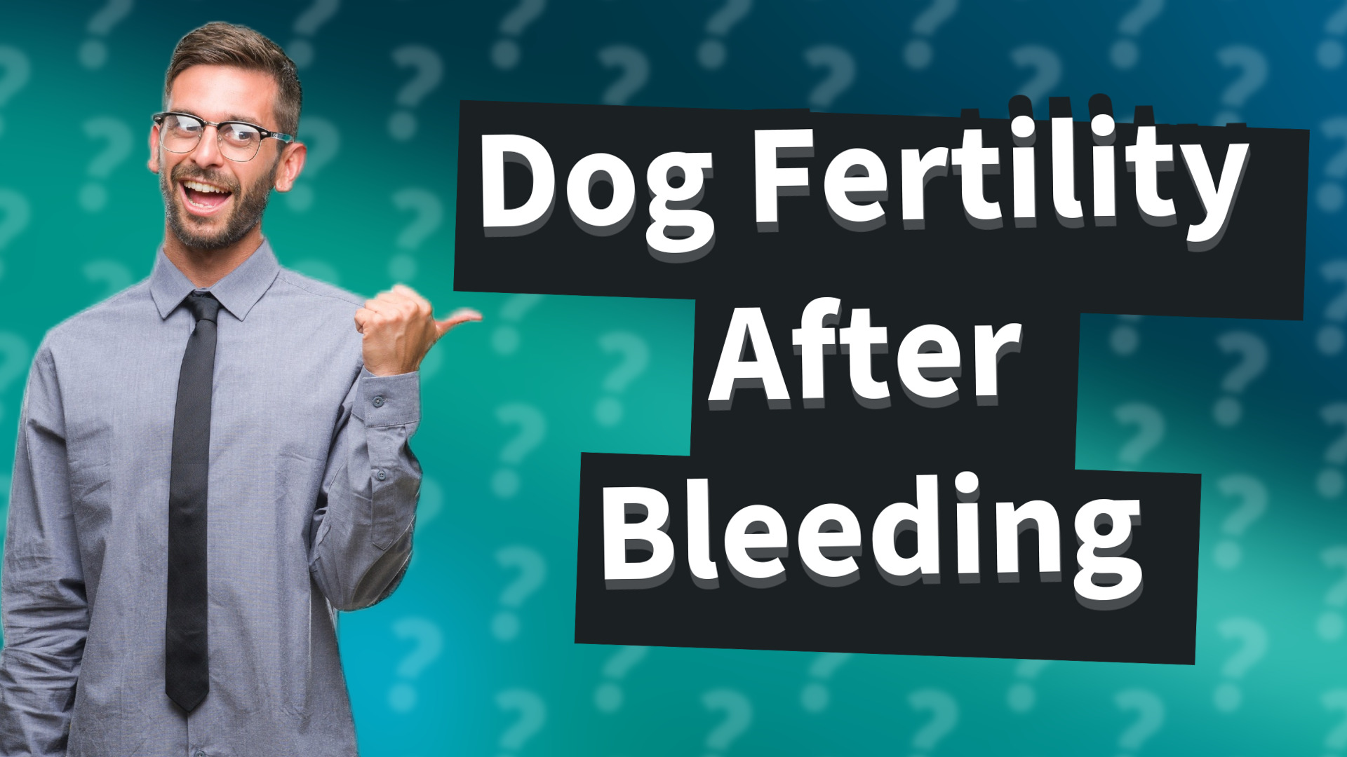 Dog Fertility After Bleeding