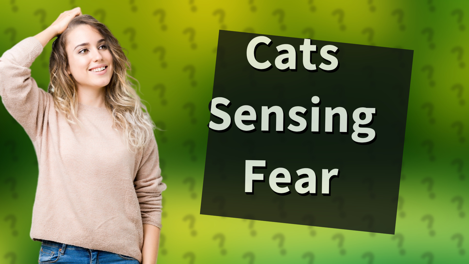 Cats Sensing Fear