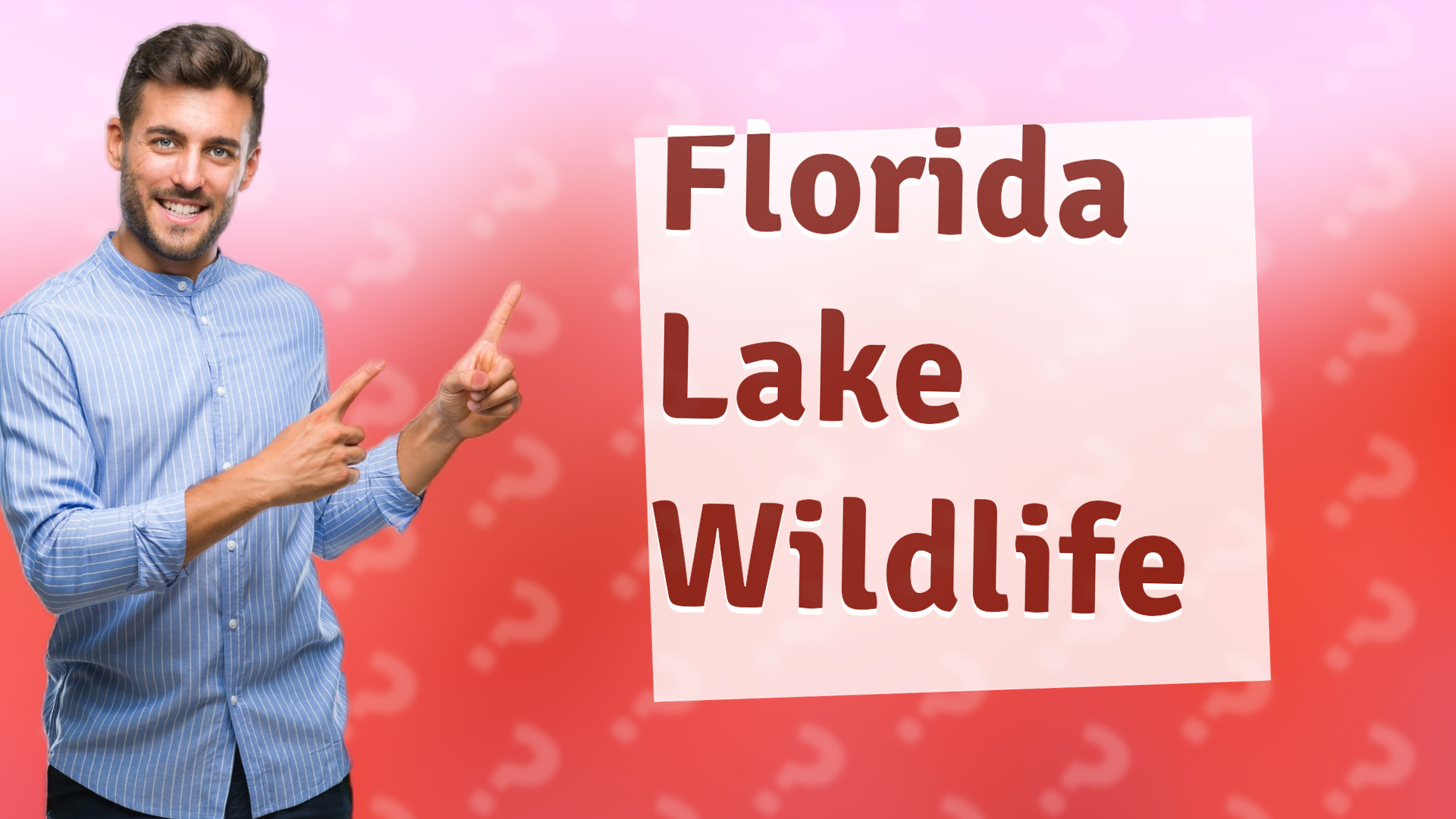 Florida Lake Wildlife