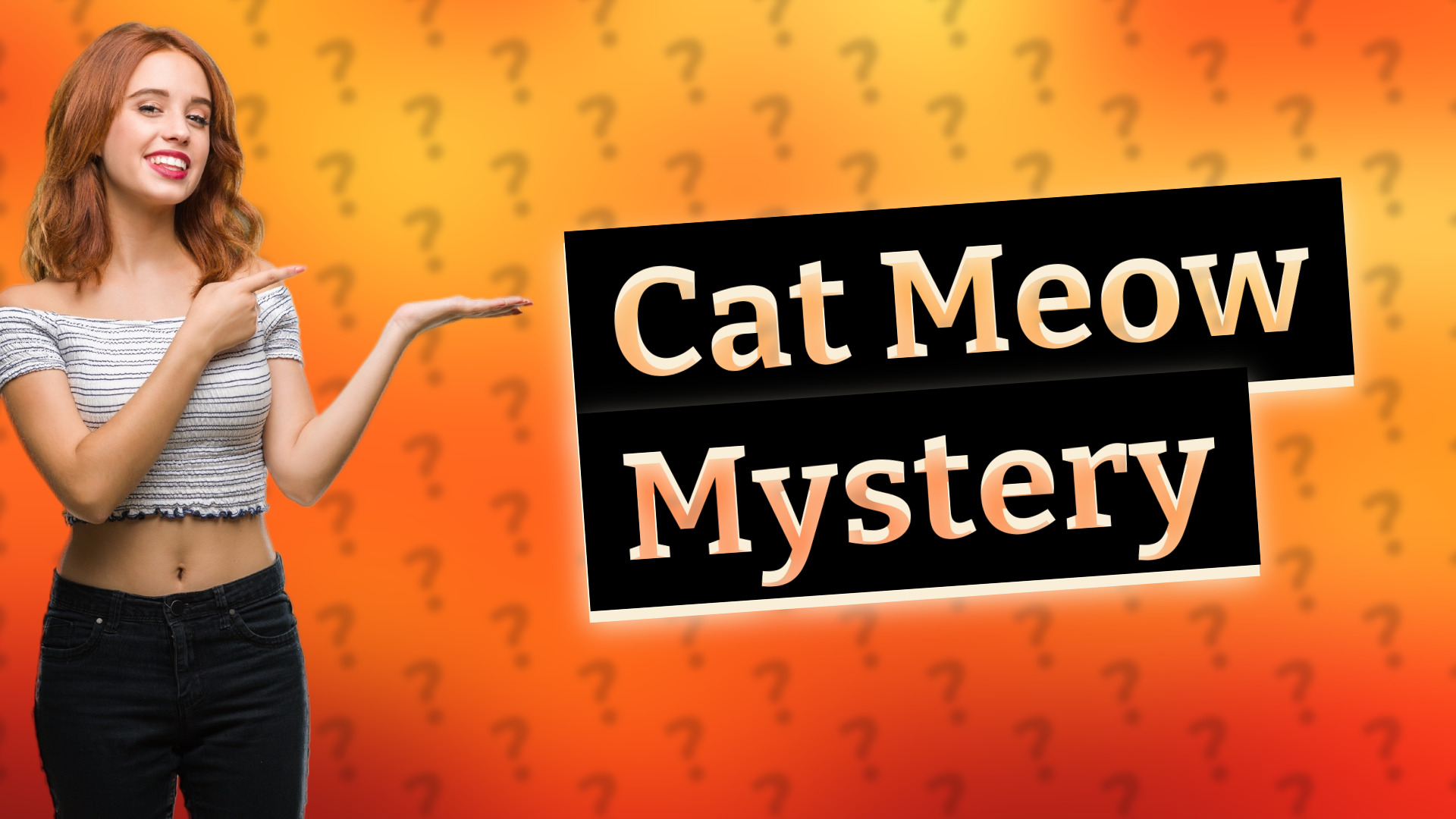 Cat Meow Mystery