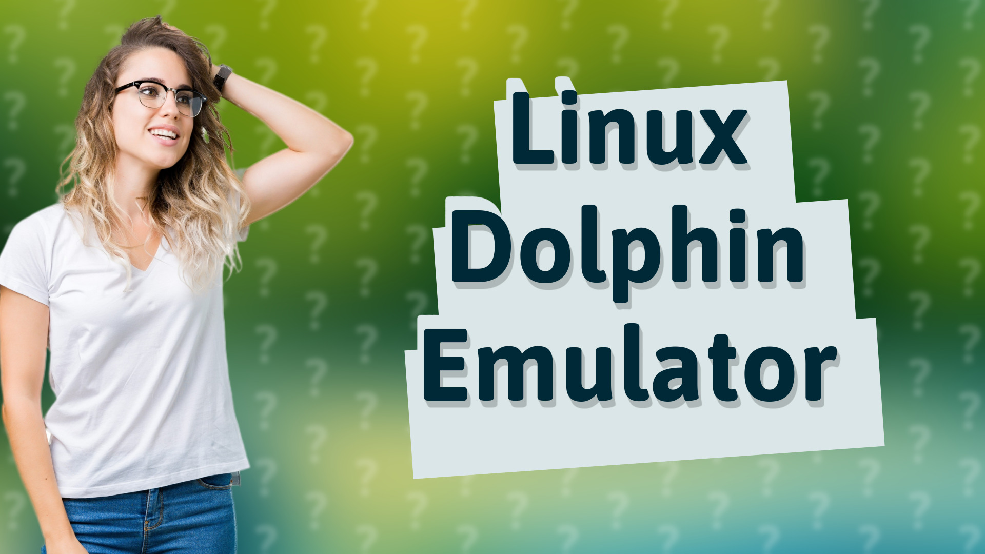 Linux Dolphin Emulator