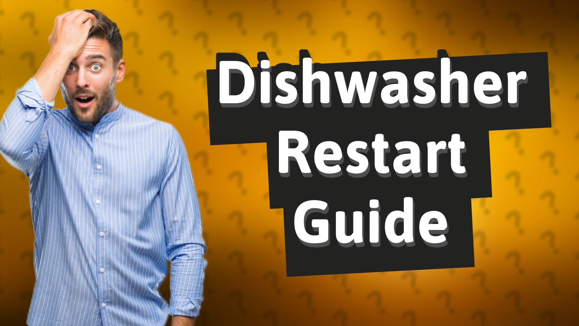 Dishwasher Restart Guide