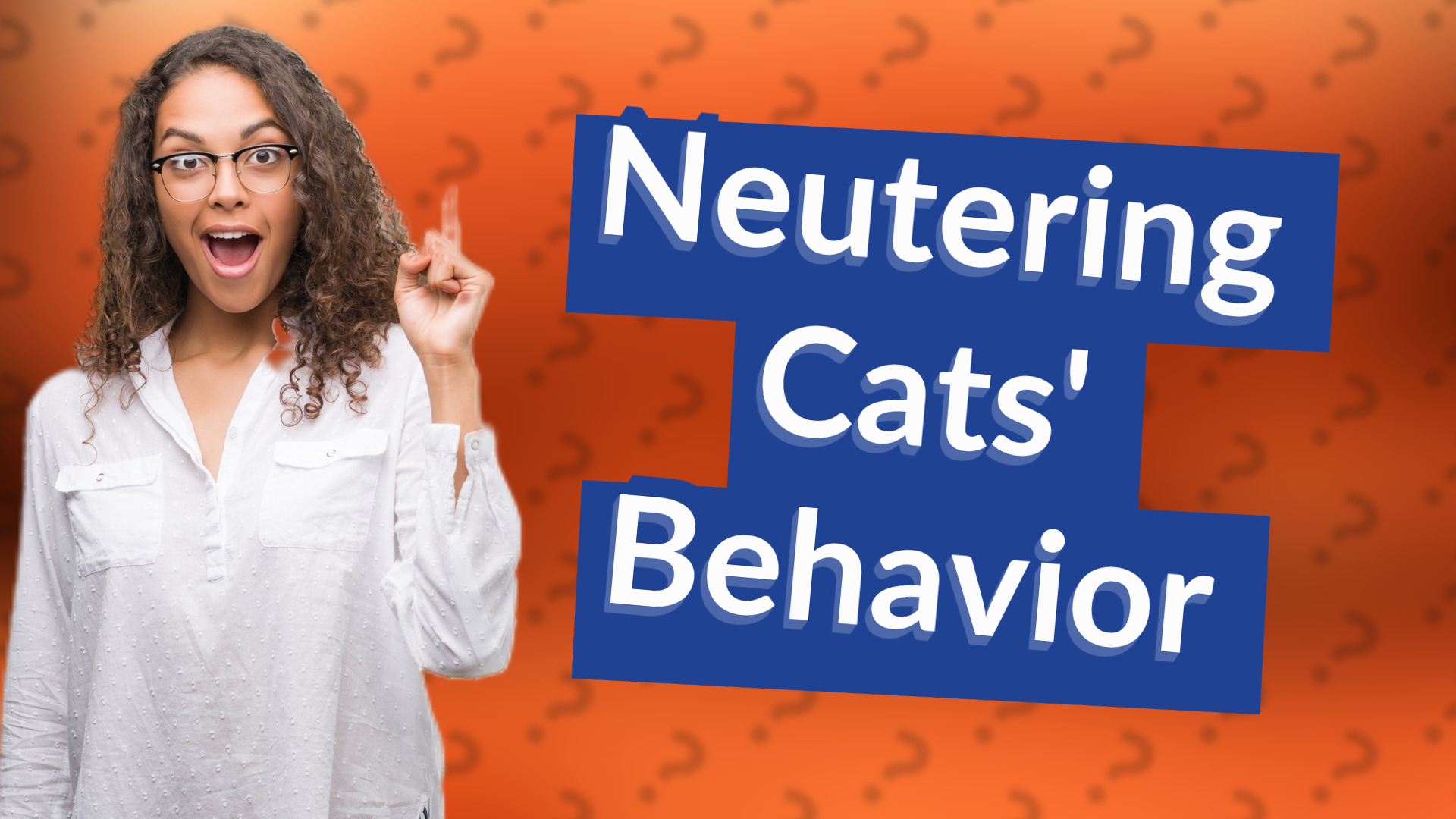 Neutering Cats' Behavior