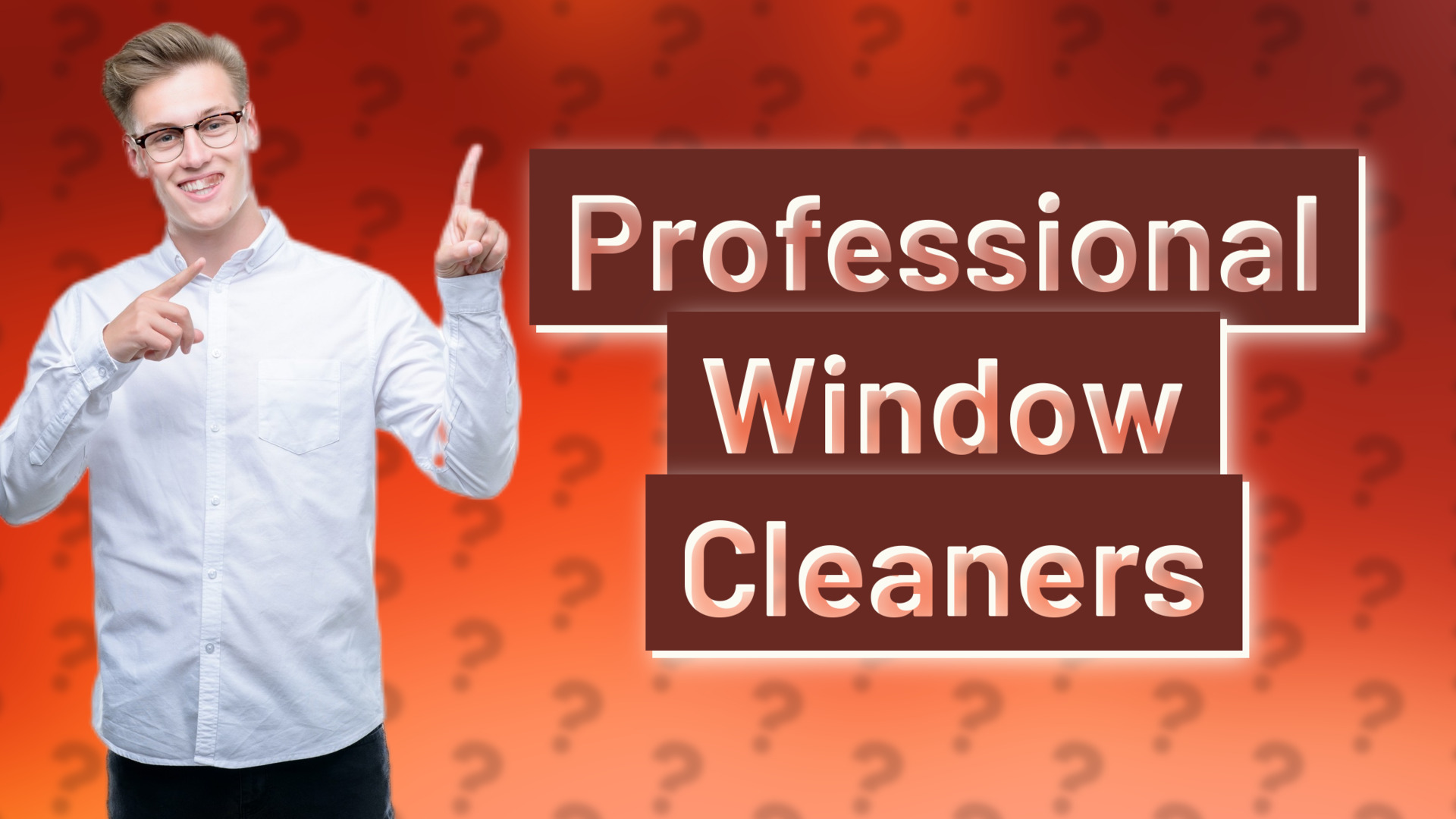 Professional Window Cleaners