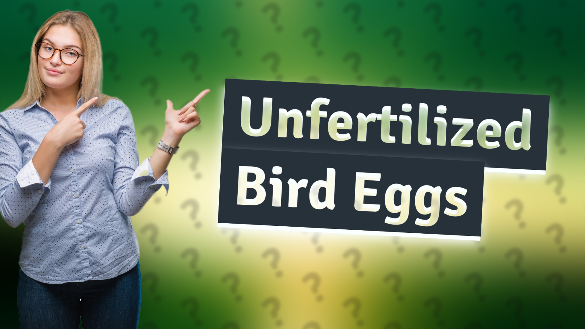 Unfertilized Bird Eggs