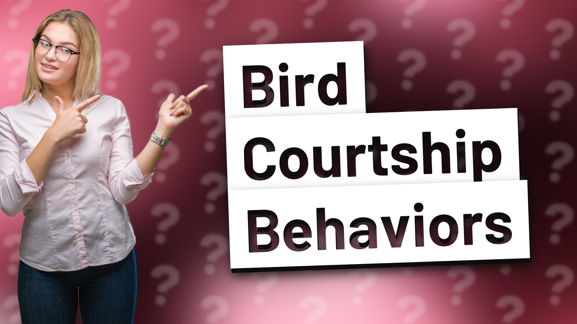 Bird Courtship Behaviors