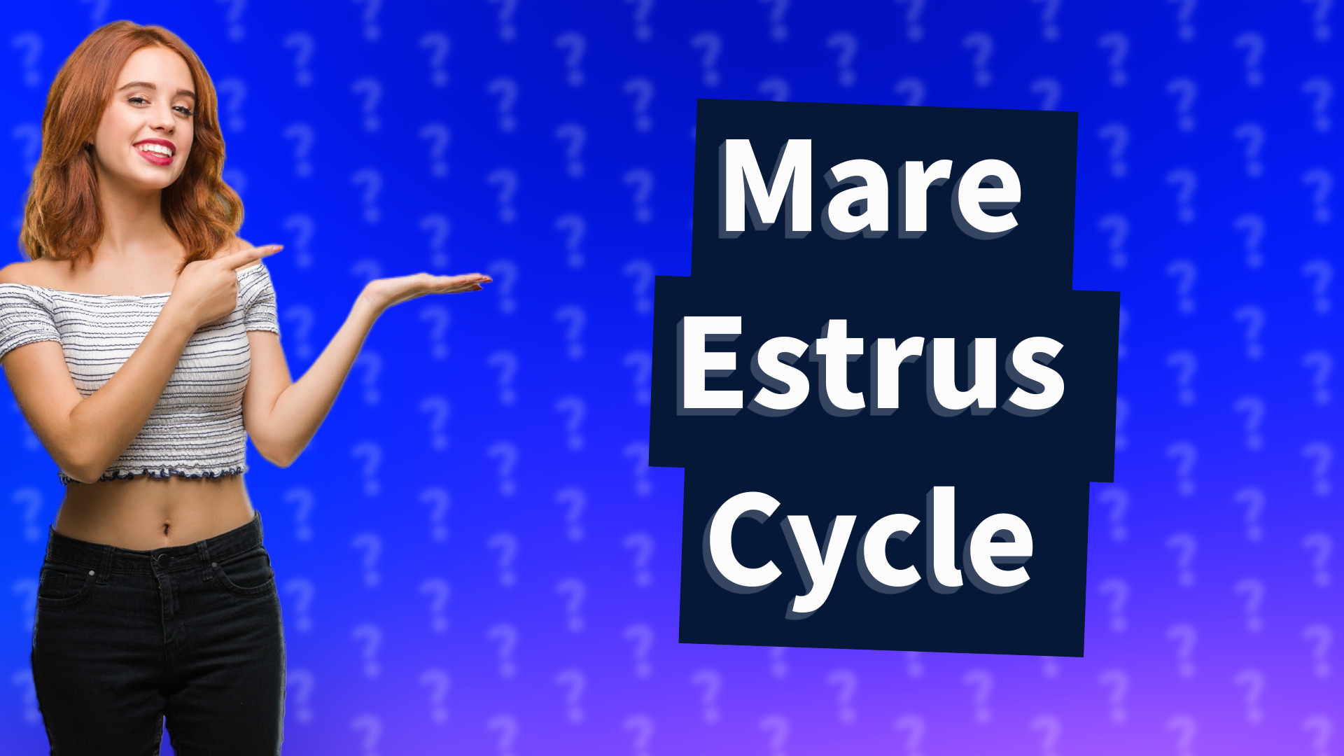 Mare Estrus Cycle