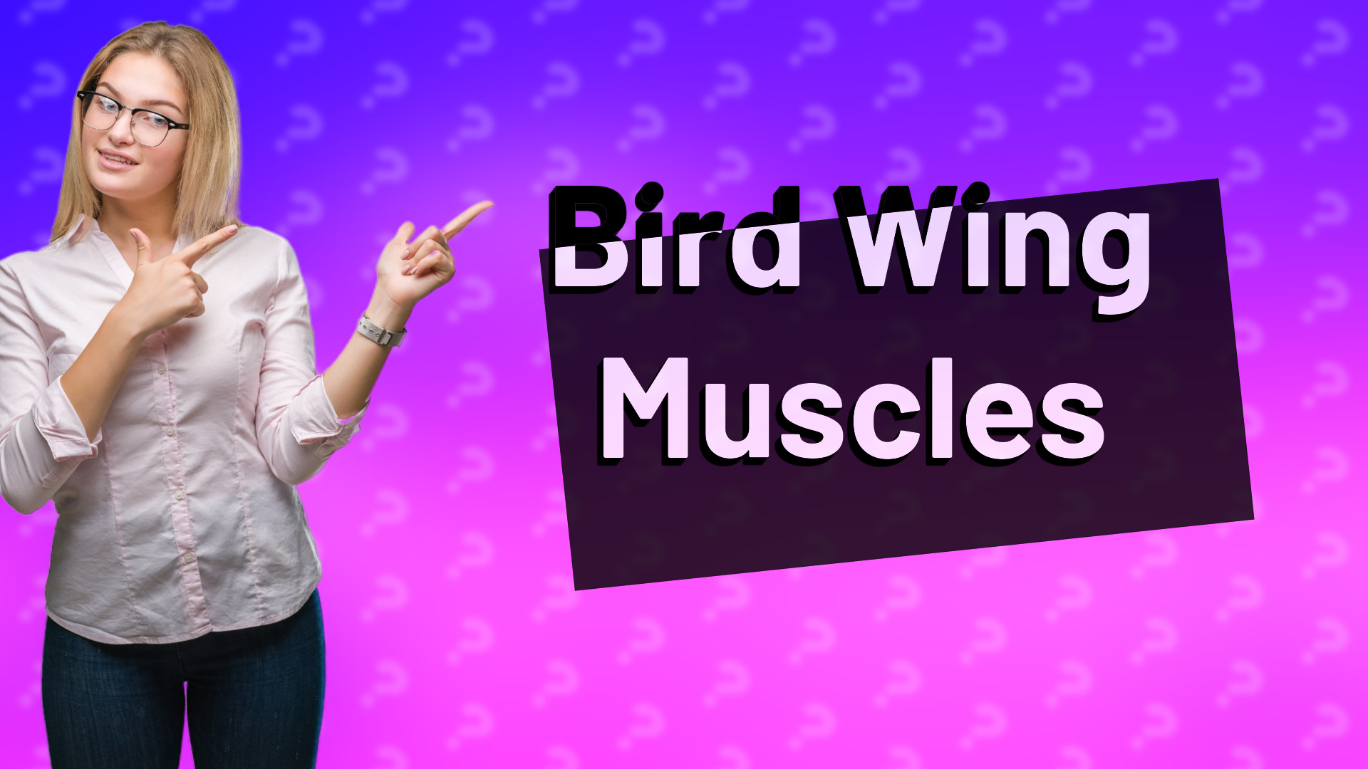 Bird Wing Muscles