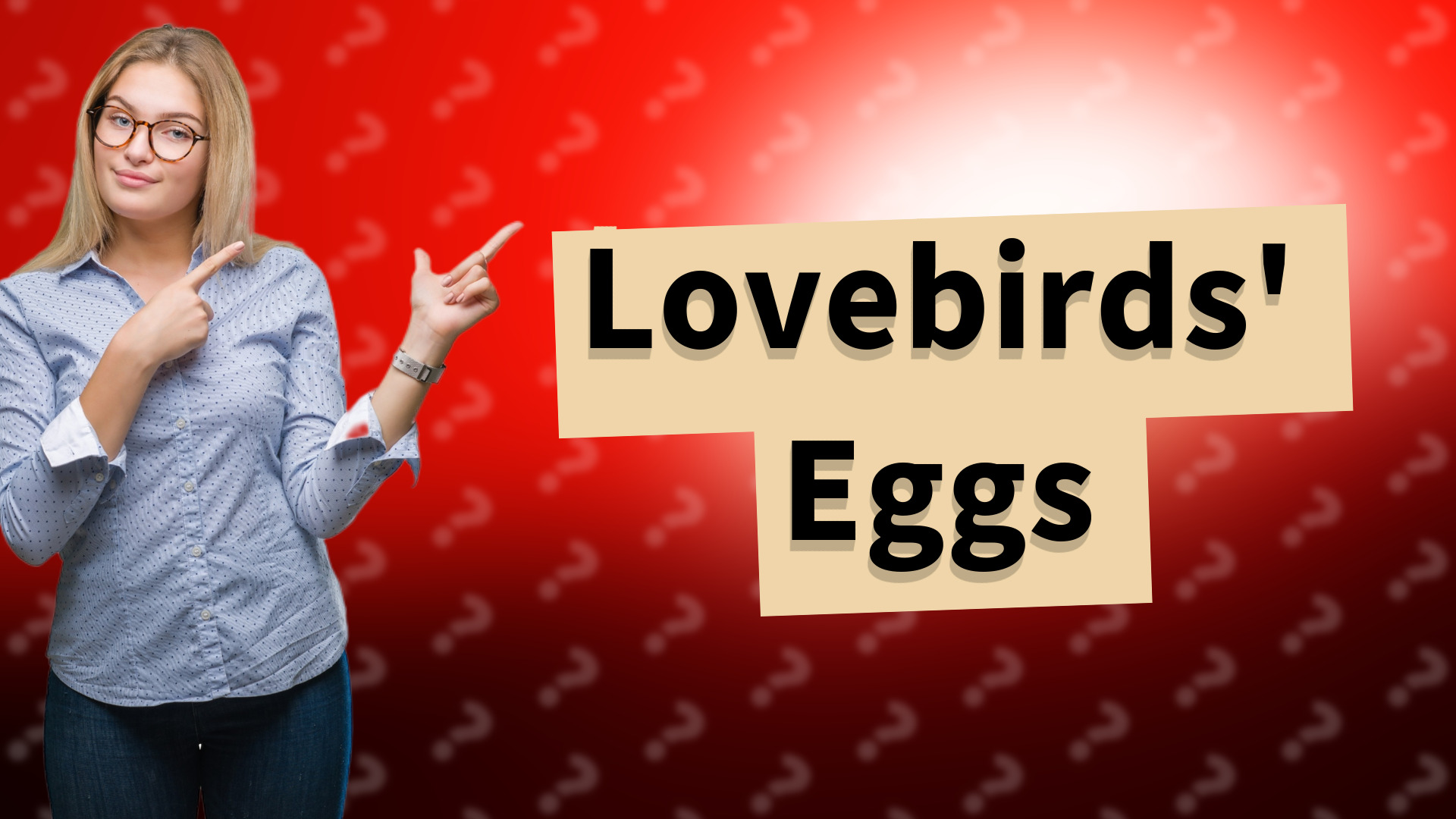 Lovebirds' Eggs