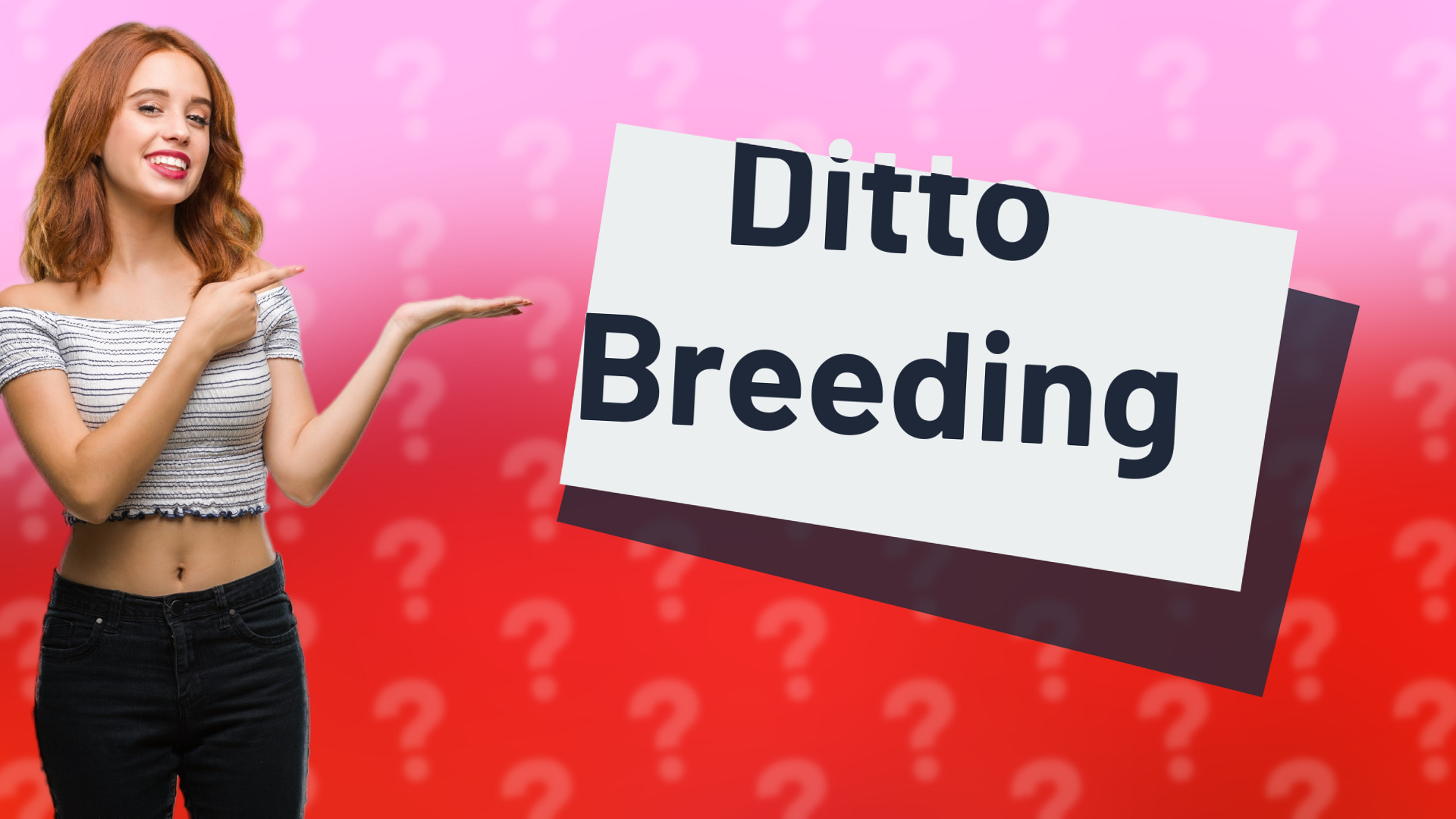 Ditto Breeding