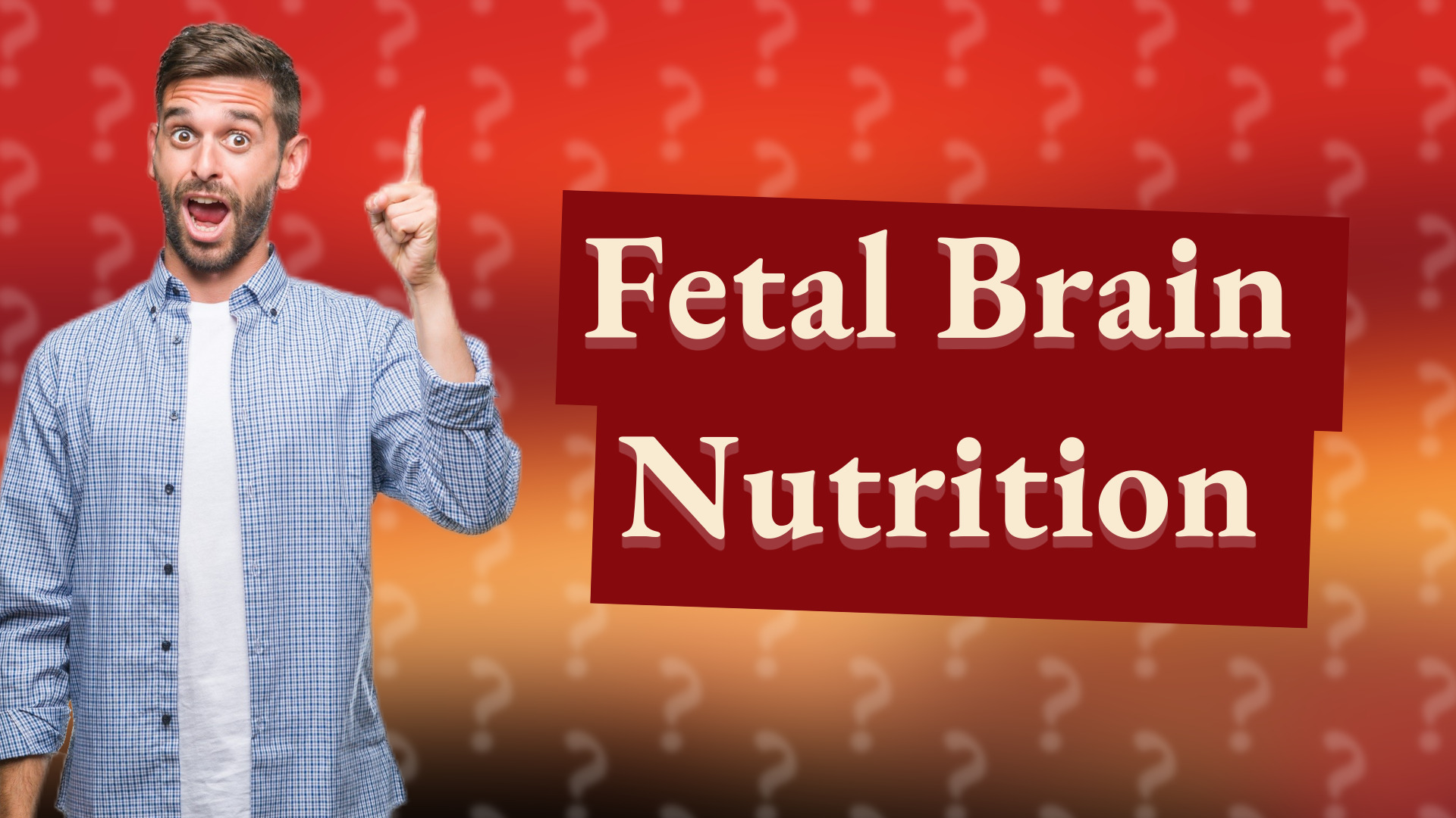 Fetal Brain Nutrition