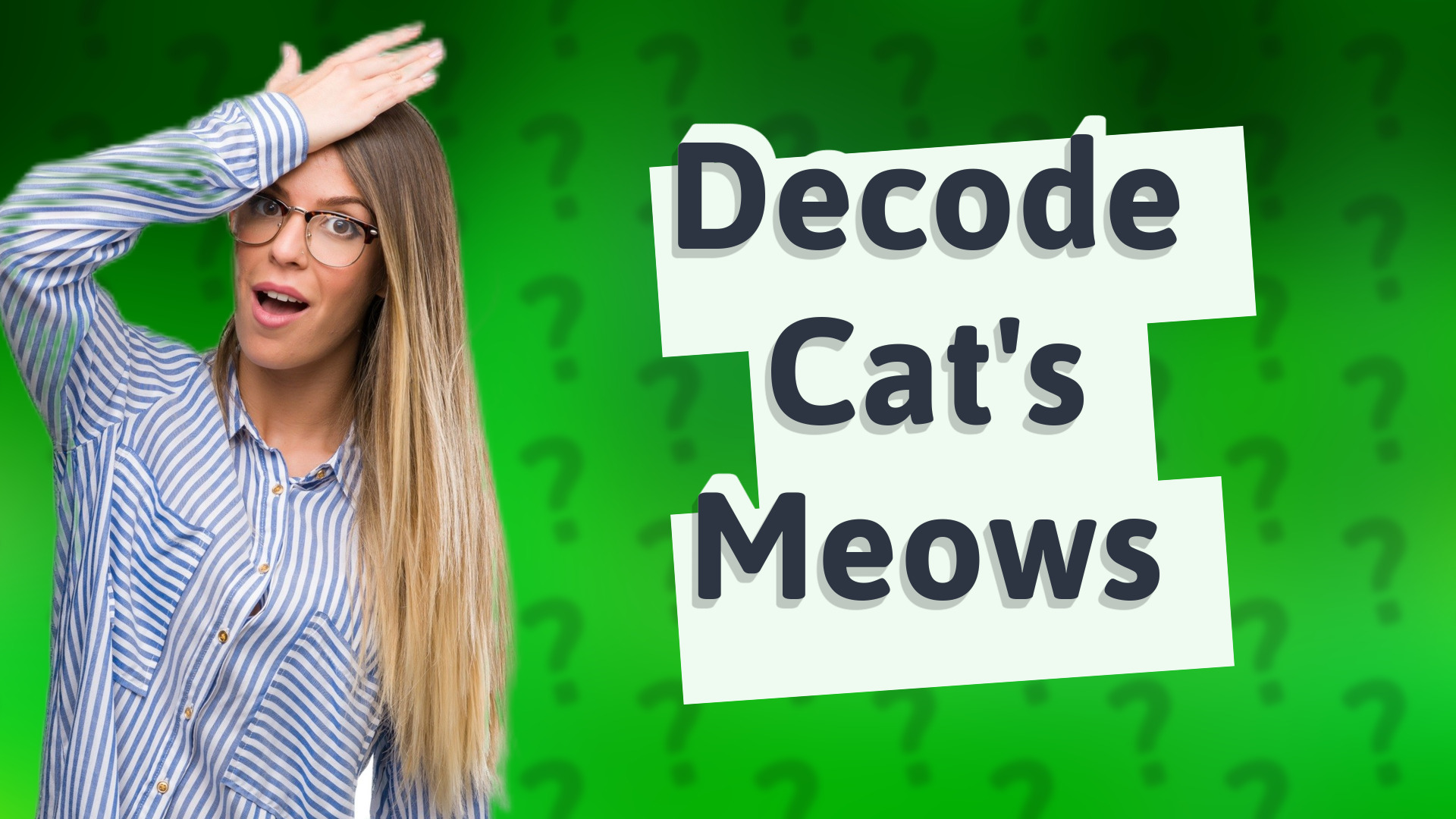 Decode Cat's Meows
