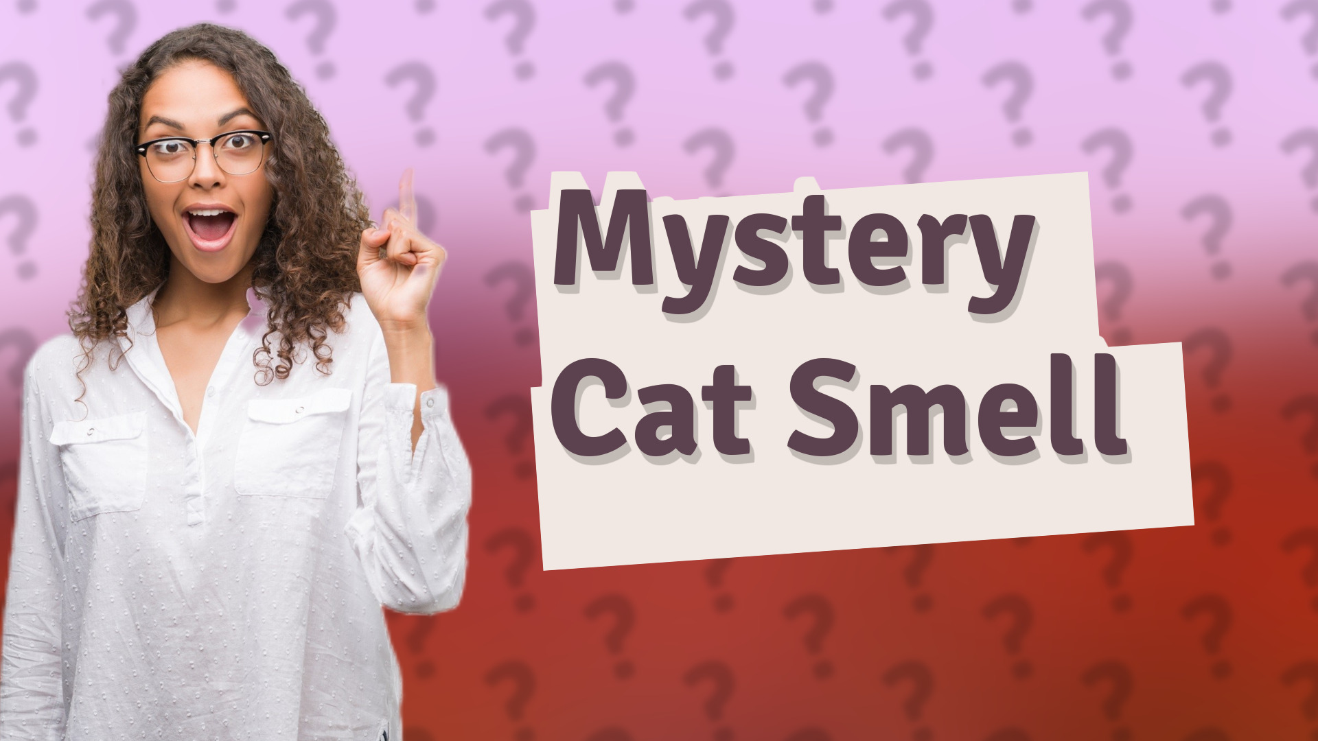 Mystery Cat Smell