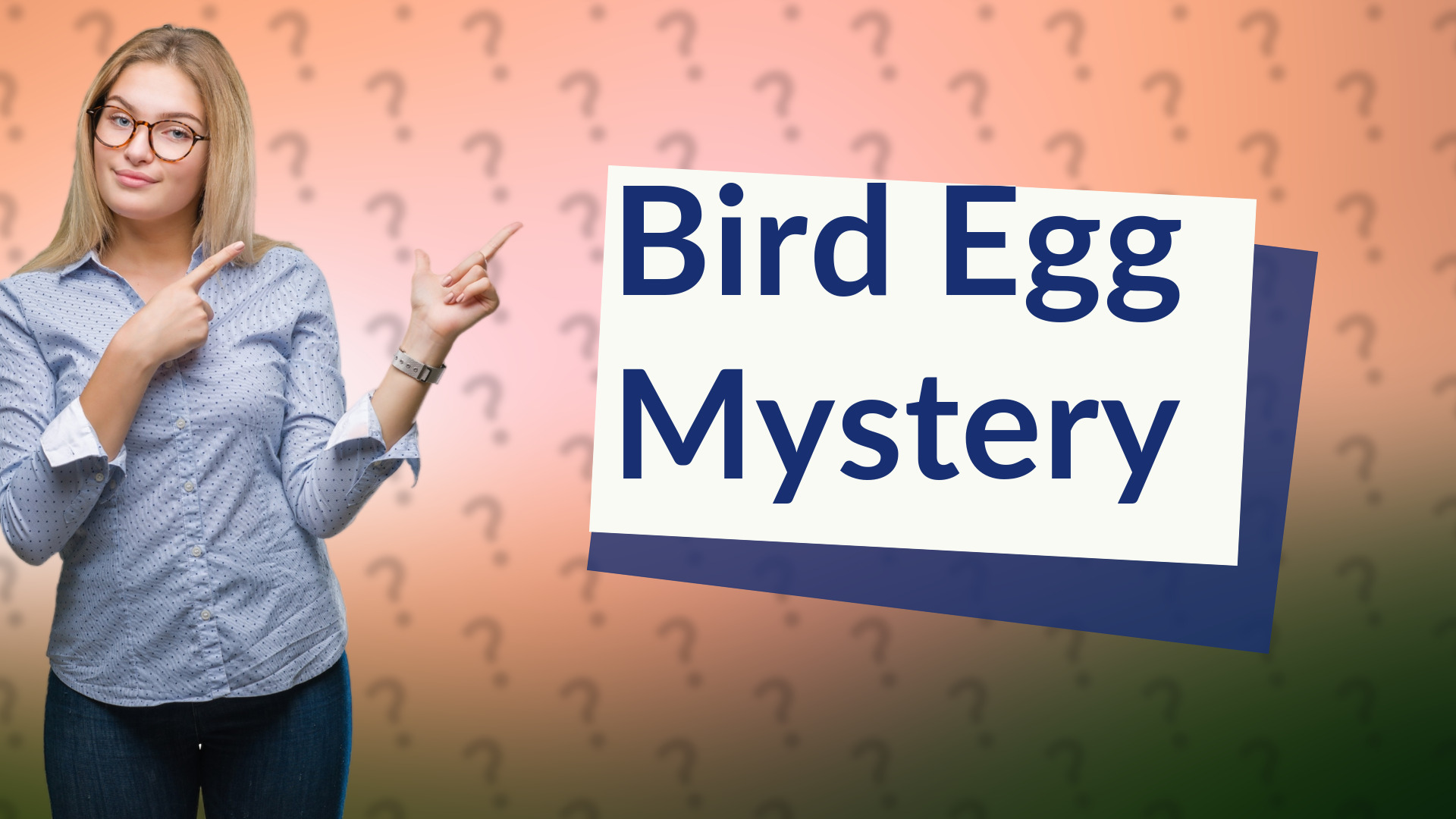 Bird Egg Mystery