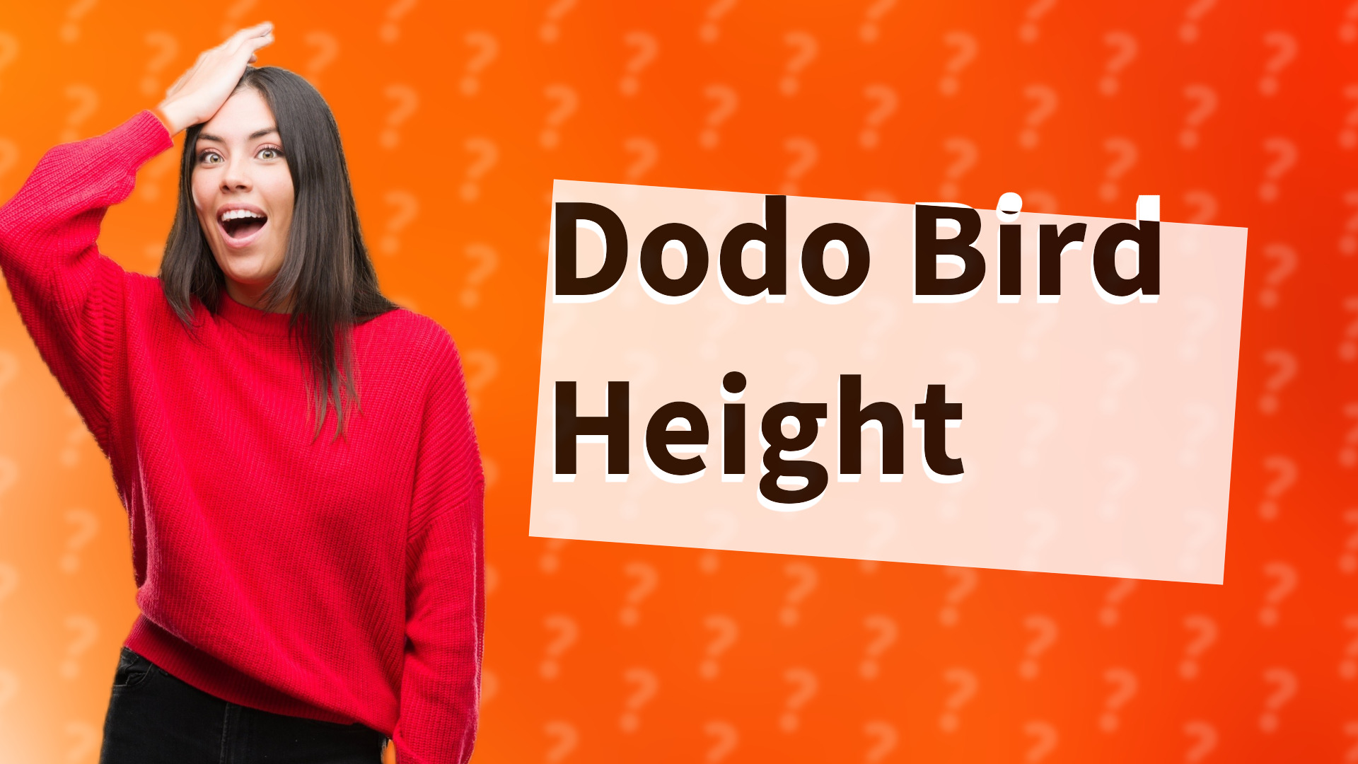 Dodo Bird Height