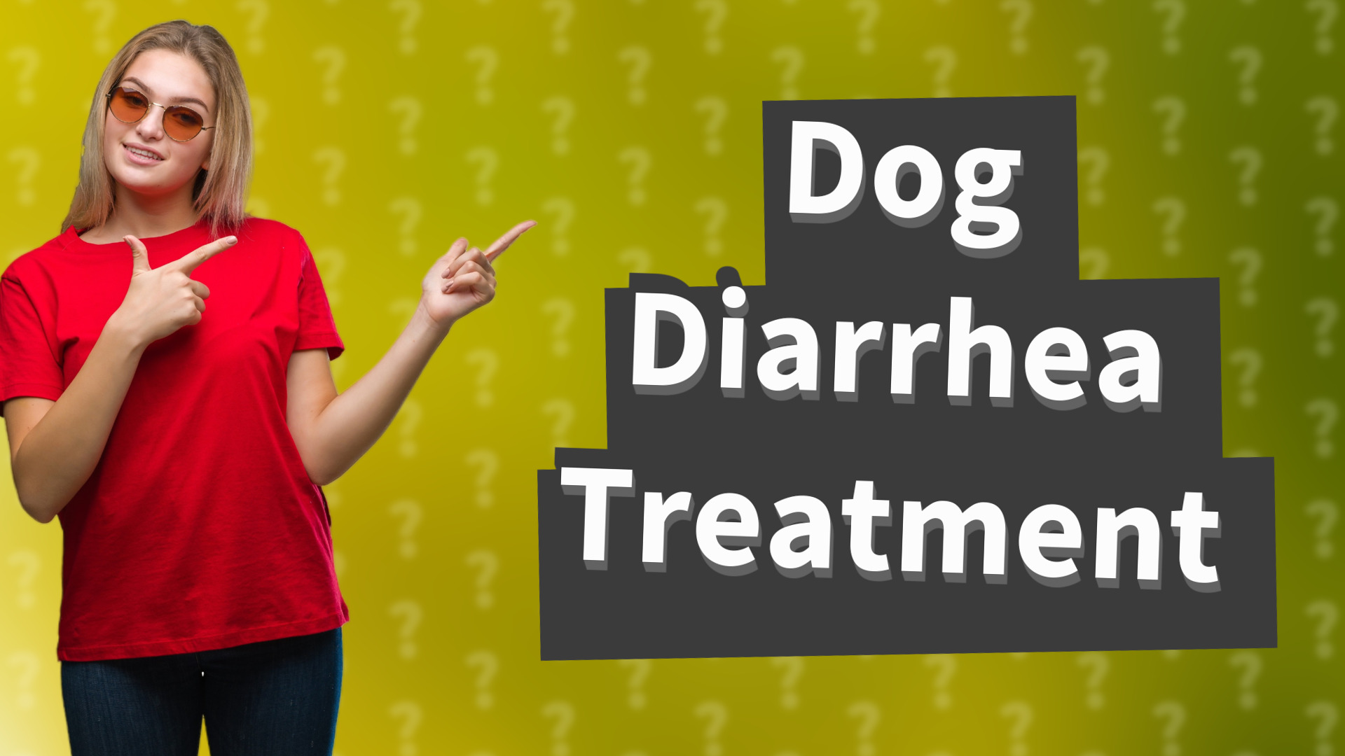 Dog Diarrhea Treatment