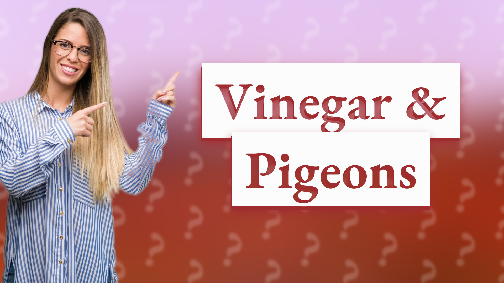 Vinegar & Pigeons