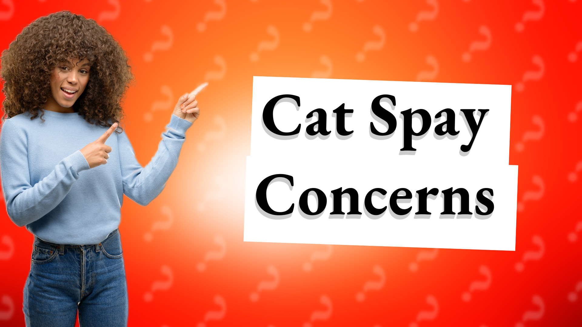 Cat Spay Concerns