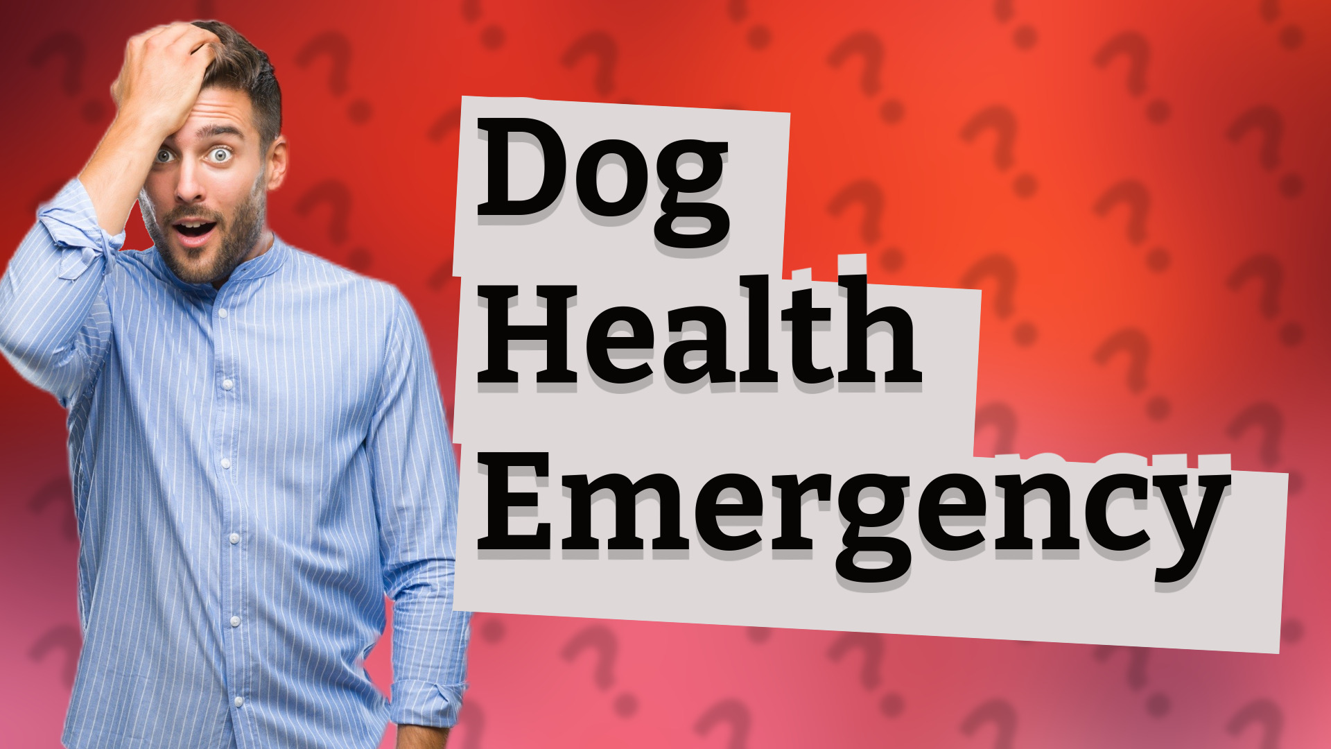 Dog Health Emergency