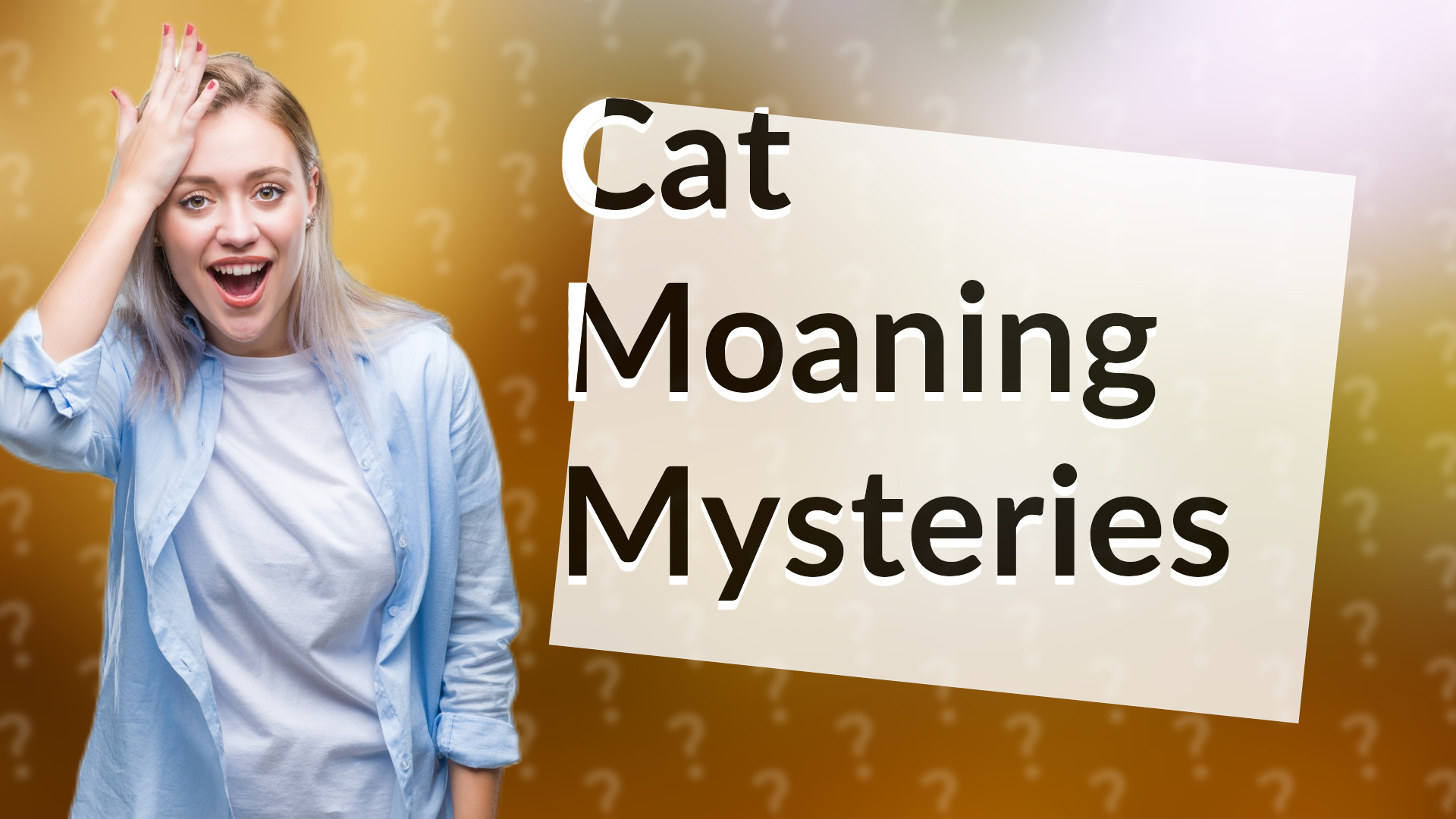Cat Moaning Mysteries