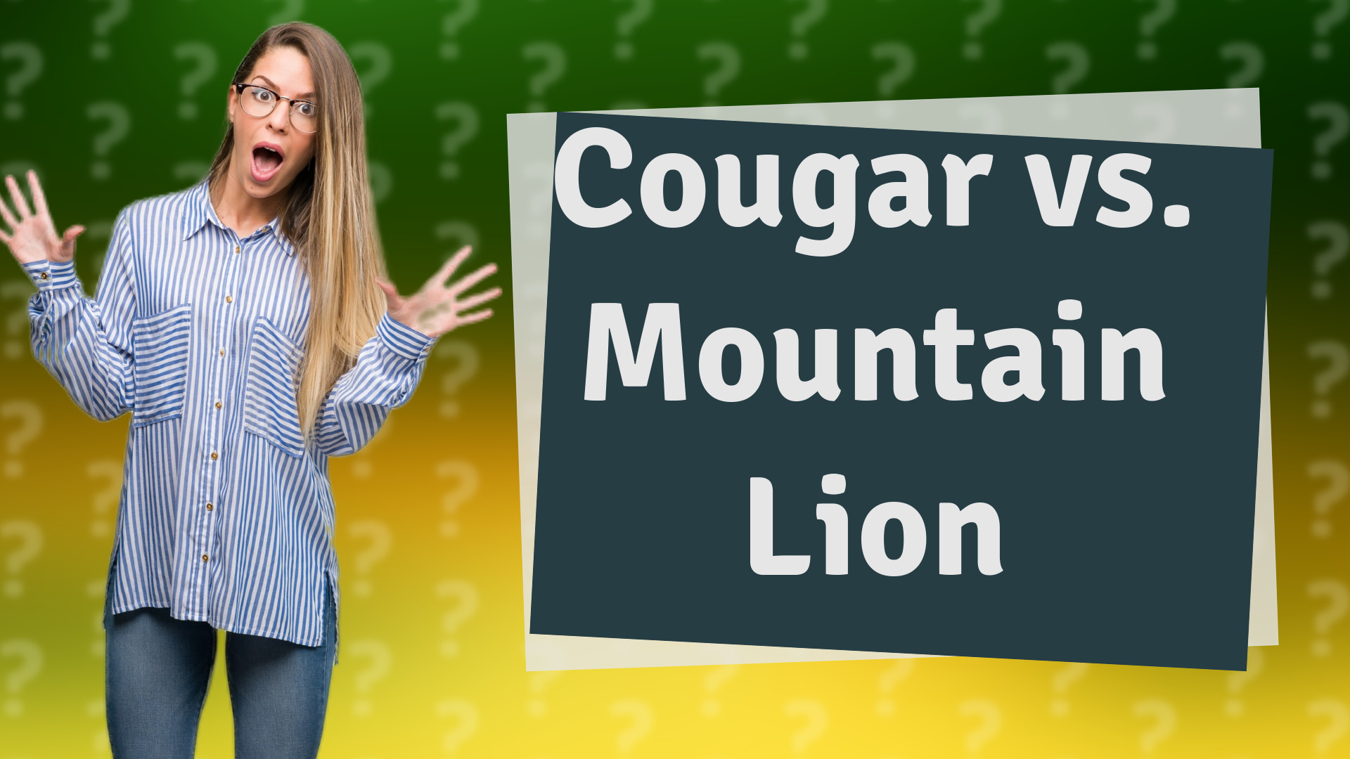 Cougar vs. Mountain Lion