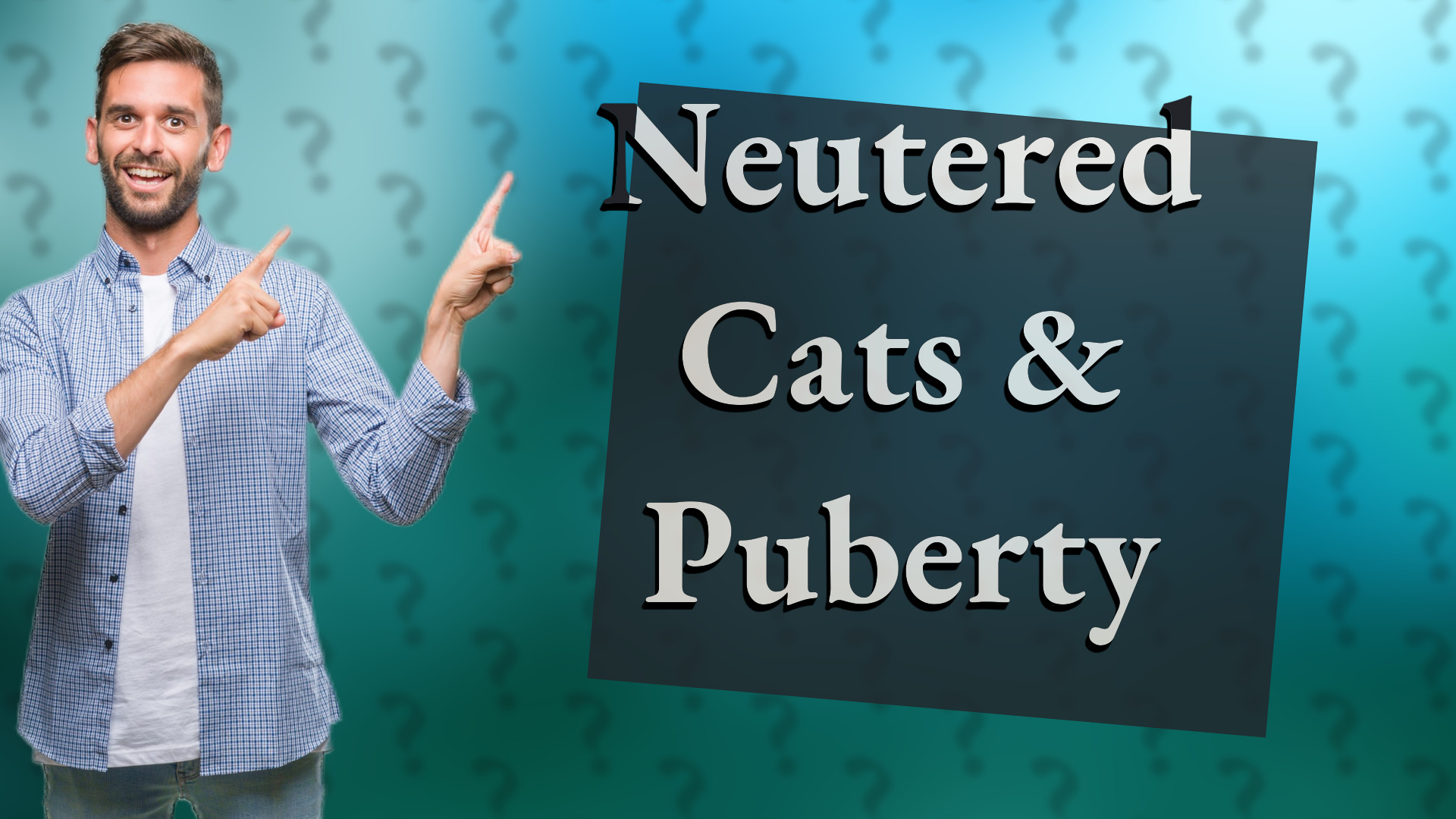 Neutered Cats & Puberty
